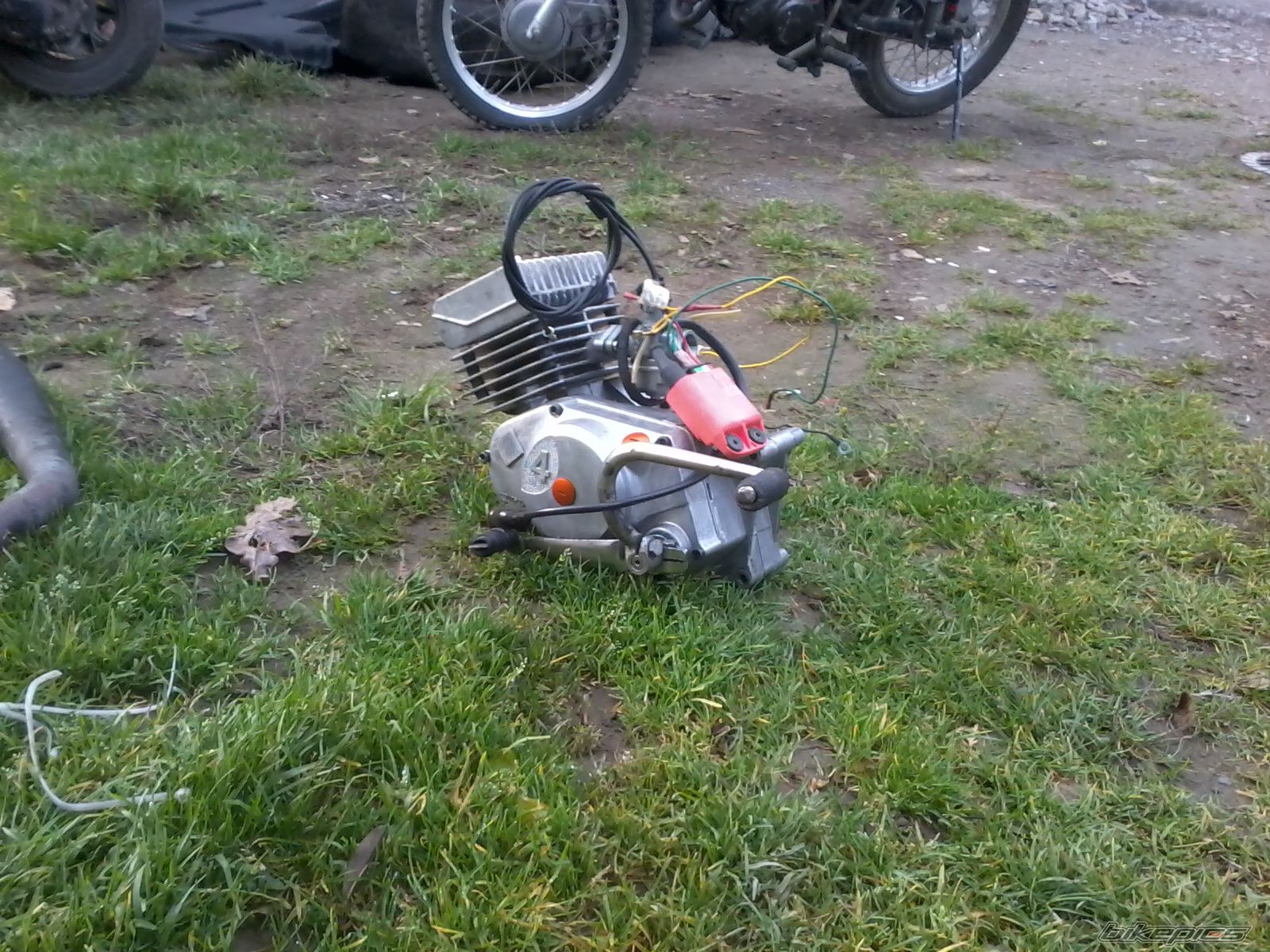 Photo 2508350
