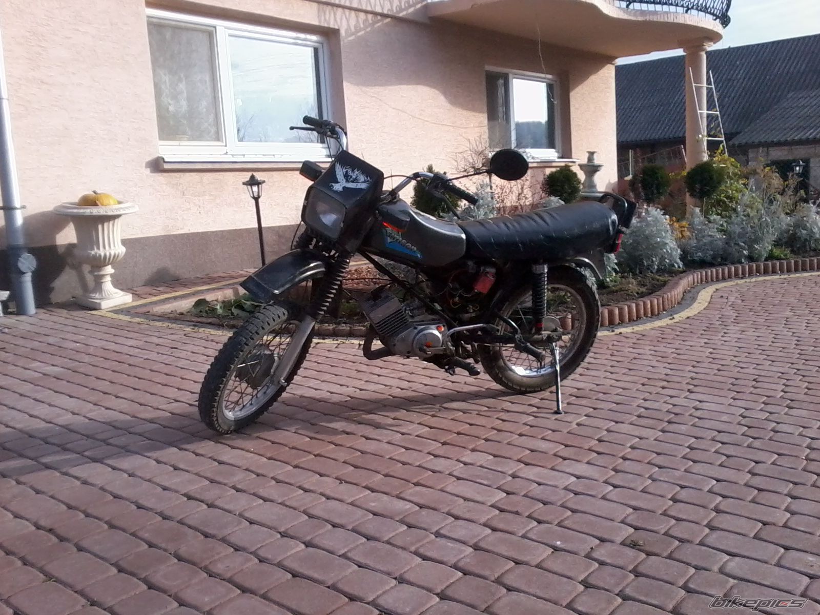 Photo 2508355