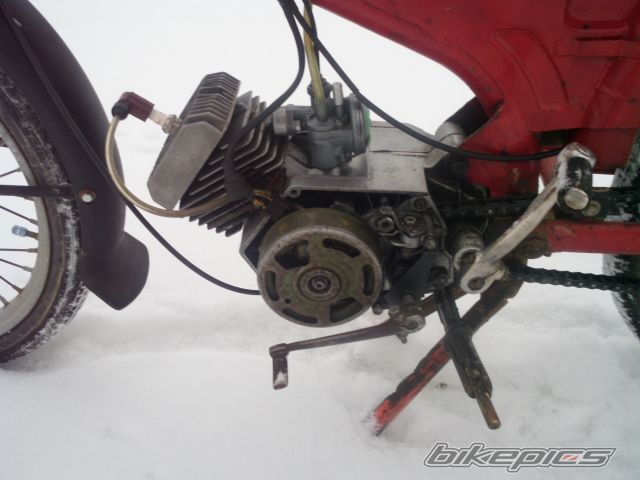 Photo 2508420