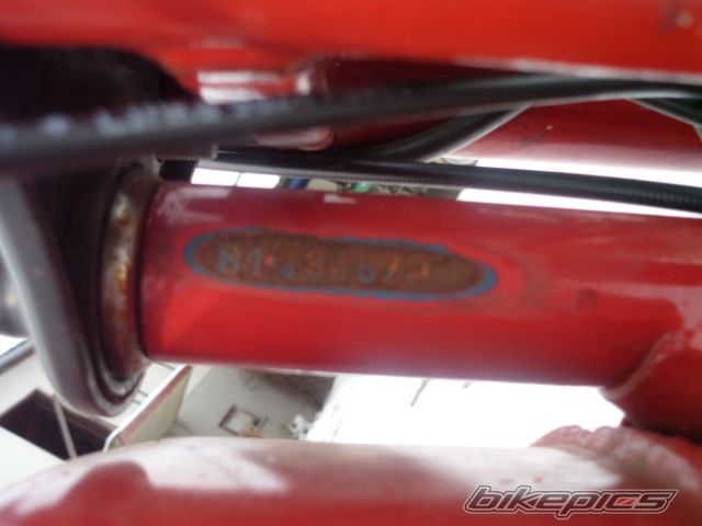 Photo 2508425