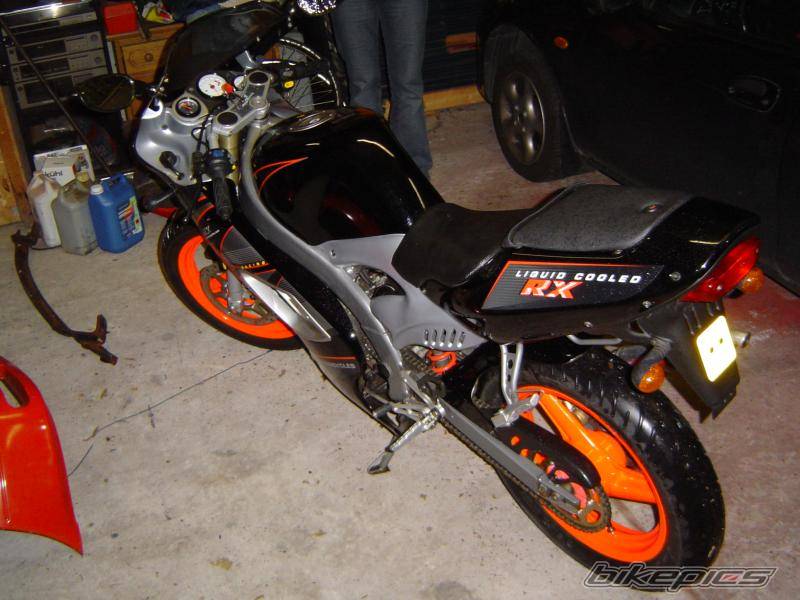 Photo 250845