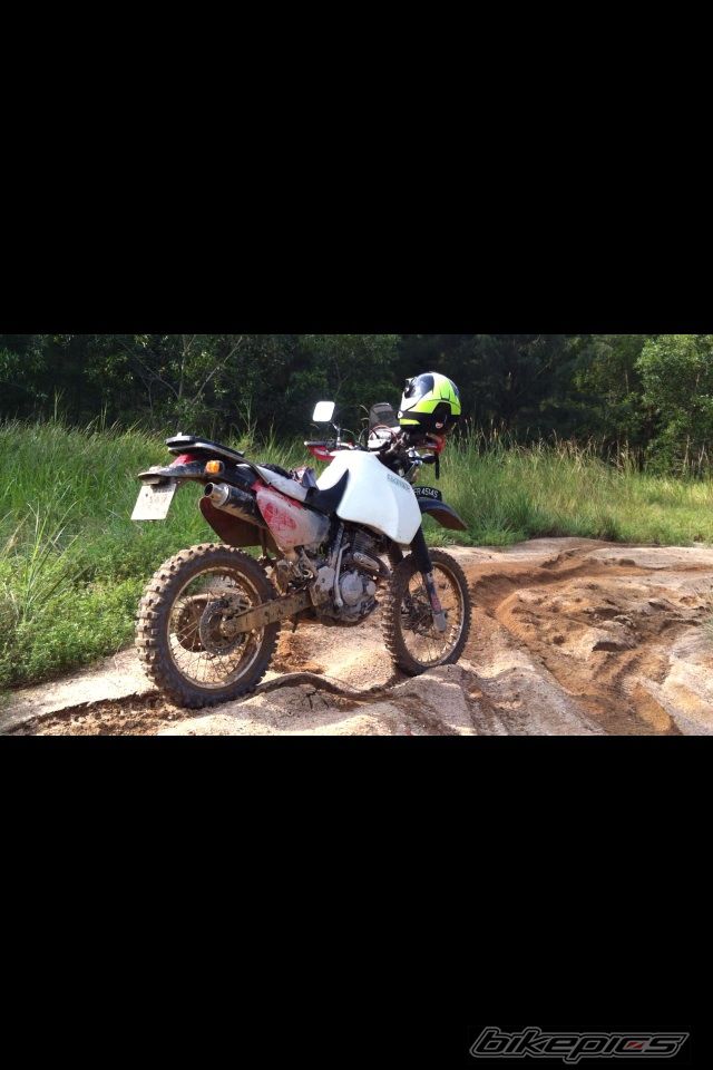 Bike Photo 2508498