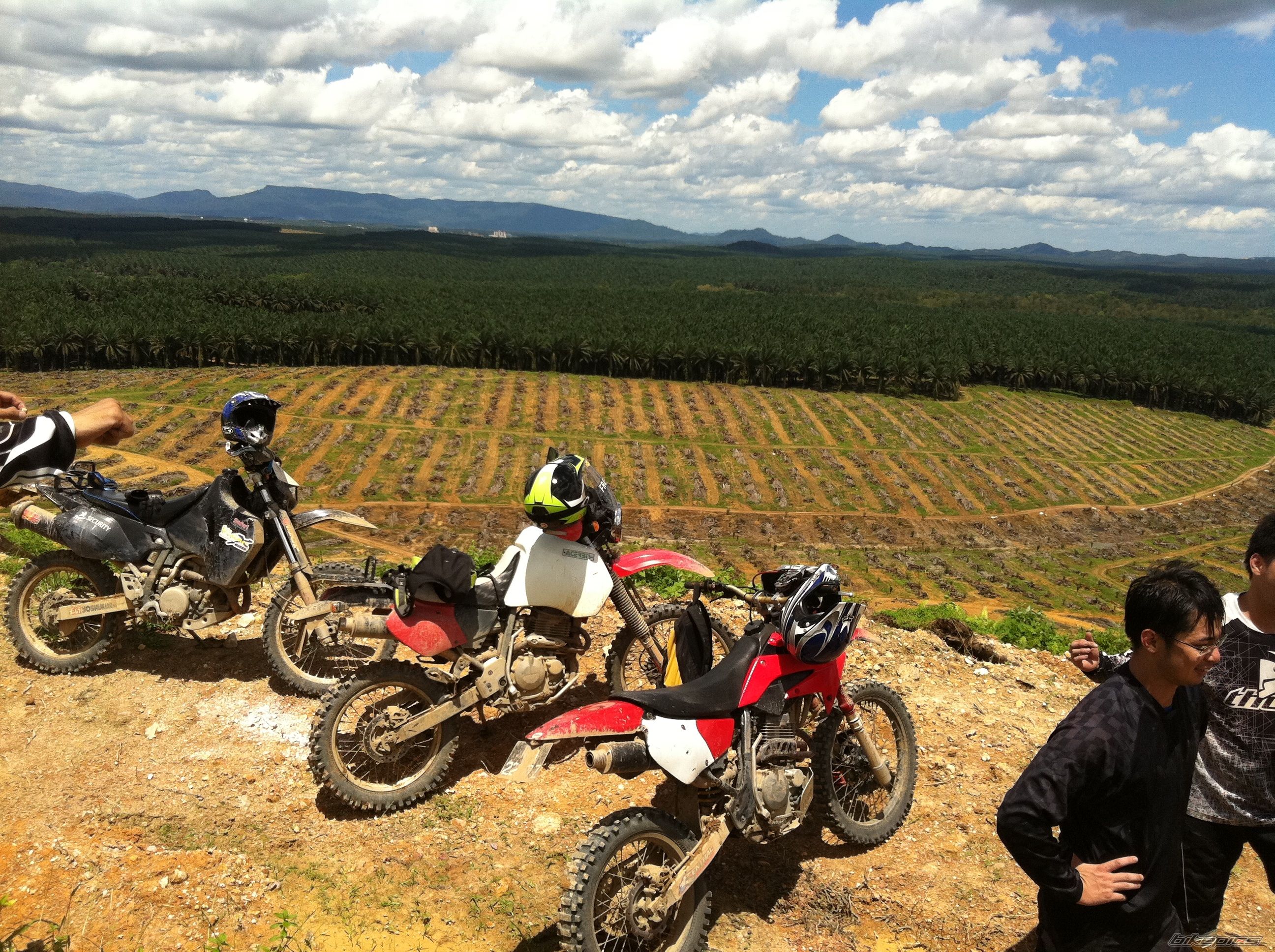Photo 2508501