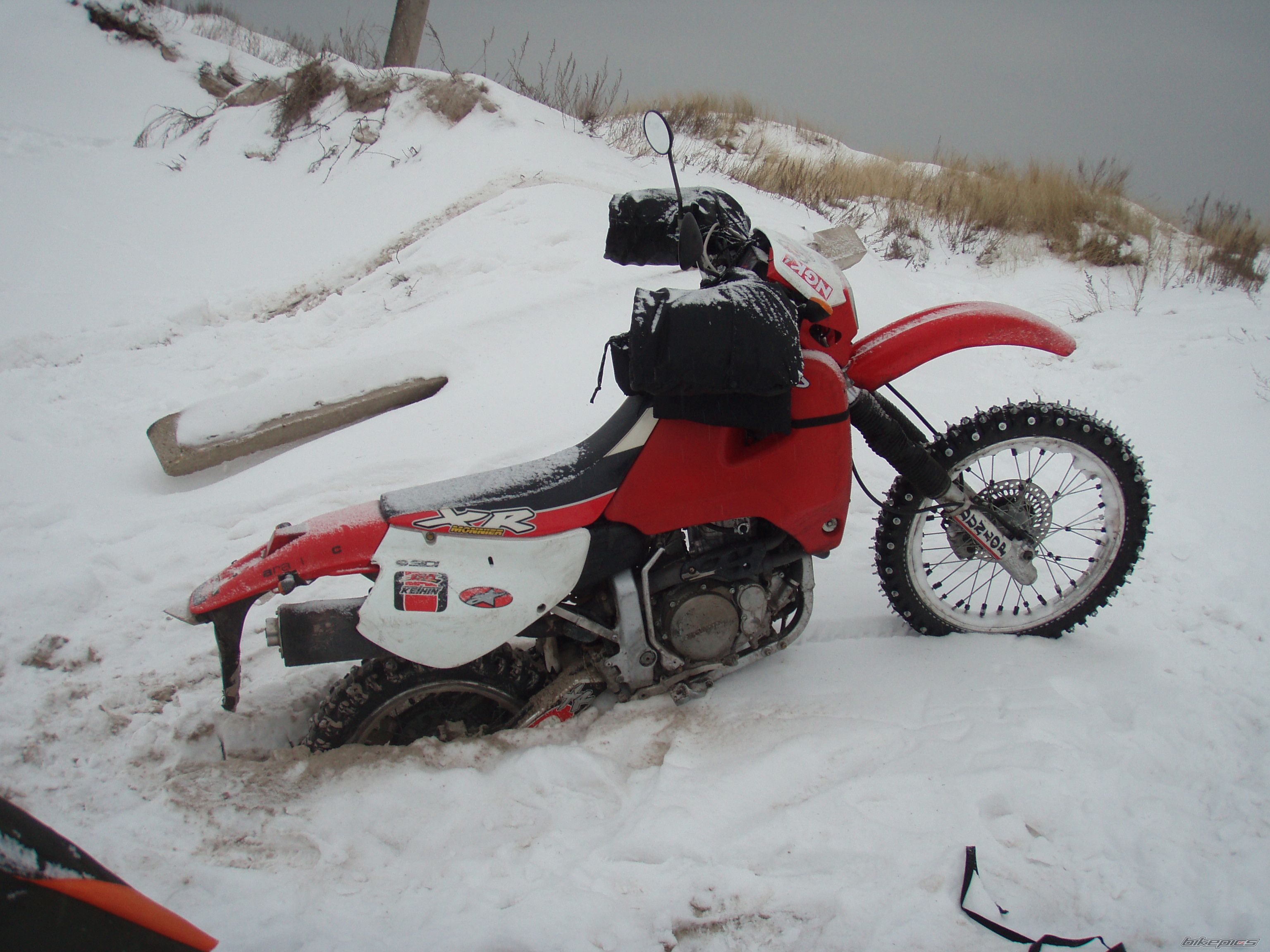Photo 2508546