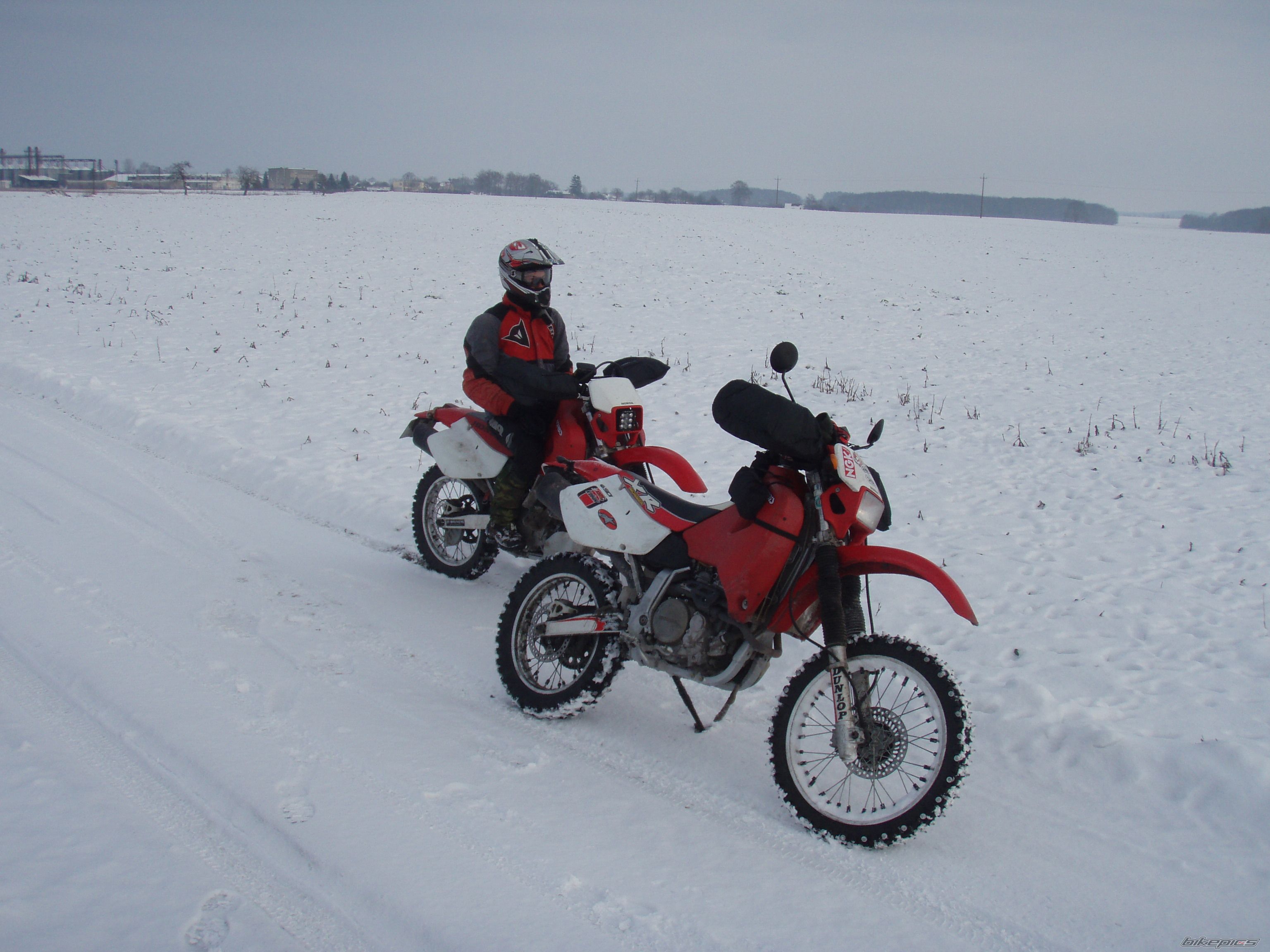 Photo 2508549