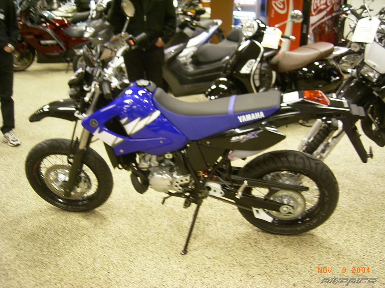 Photo 250855