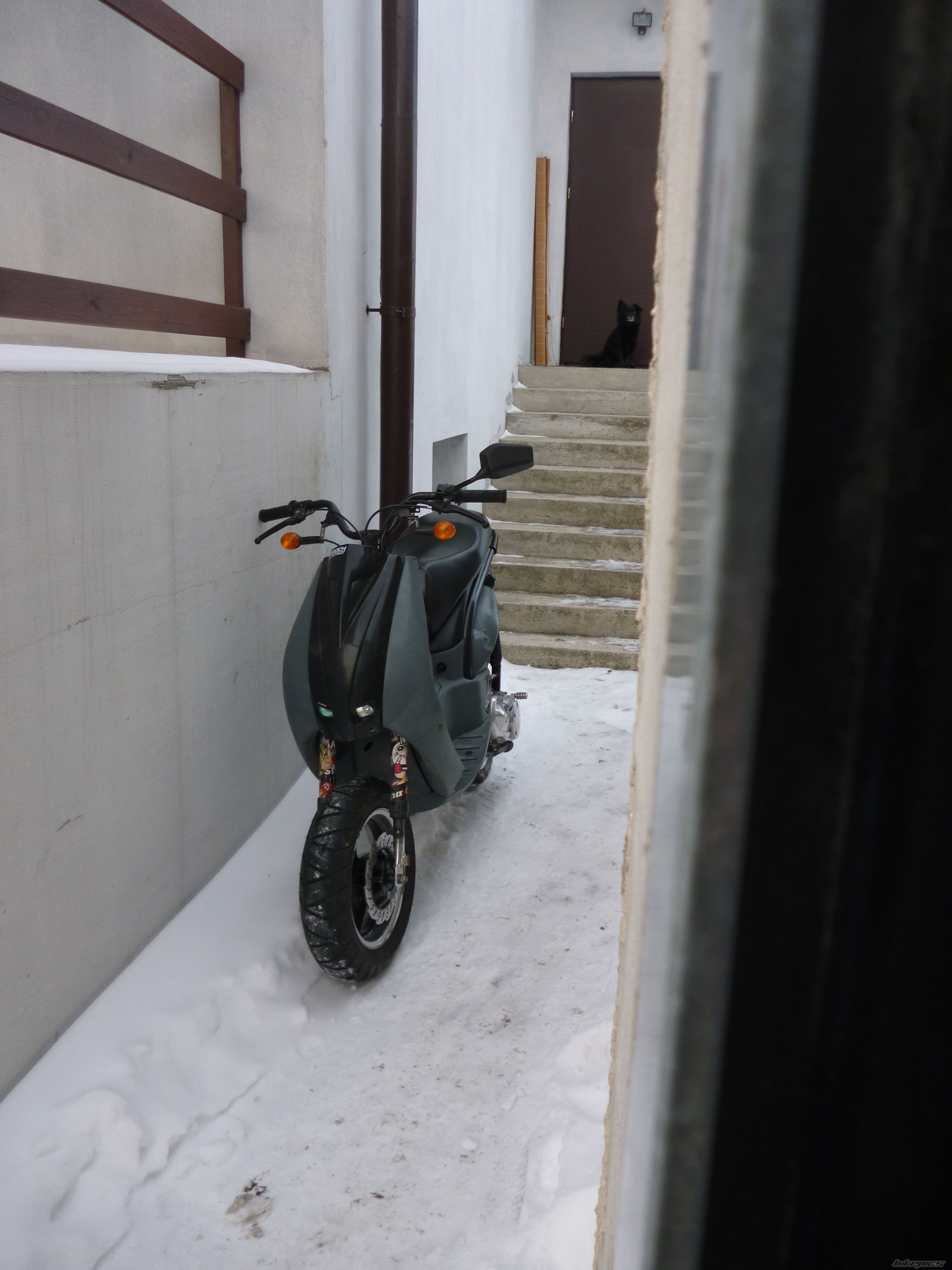 Photo 2508568