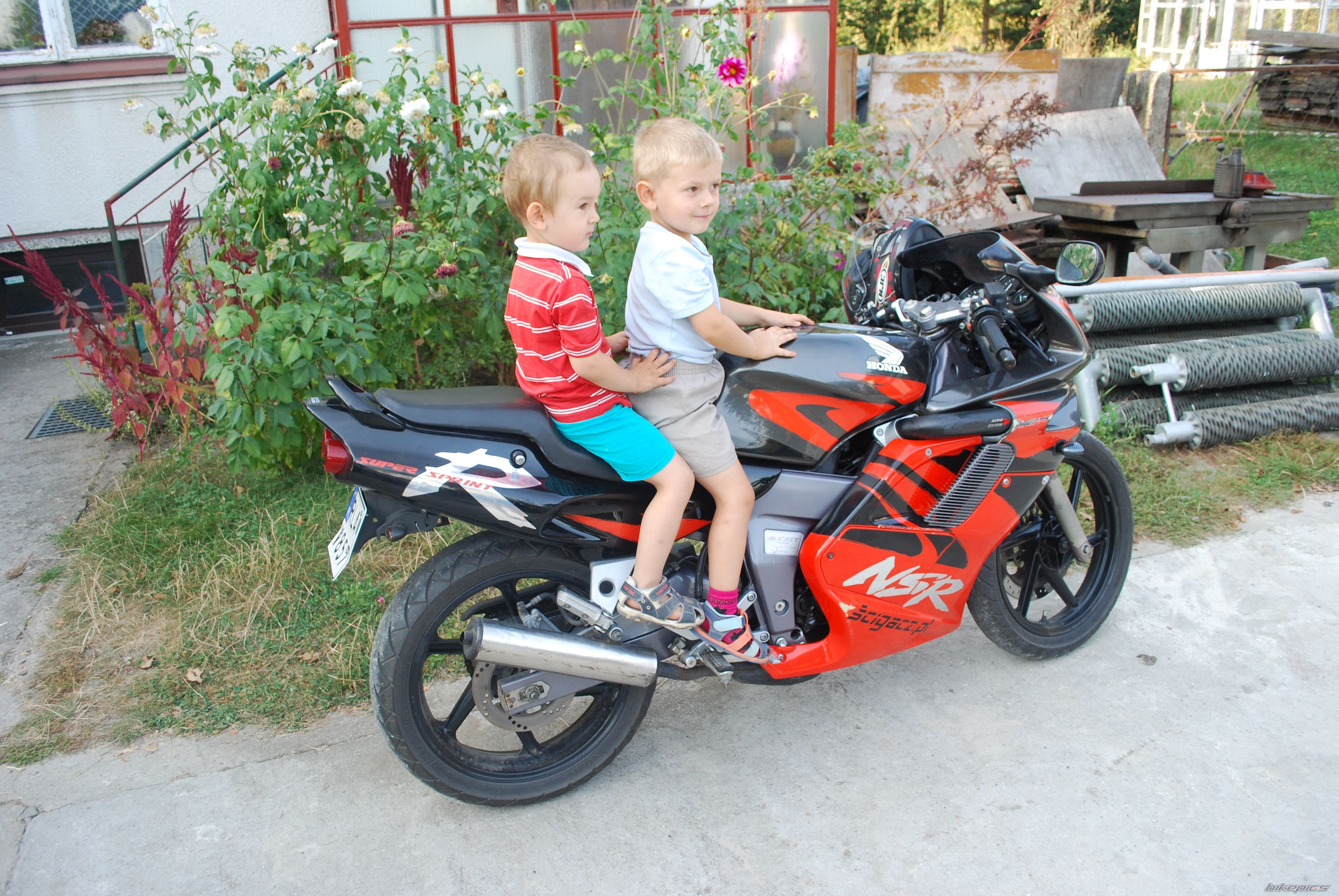 Photo 2508646