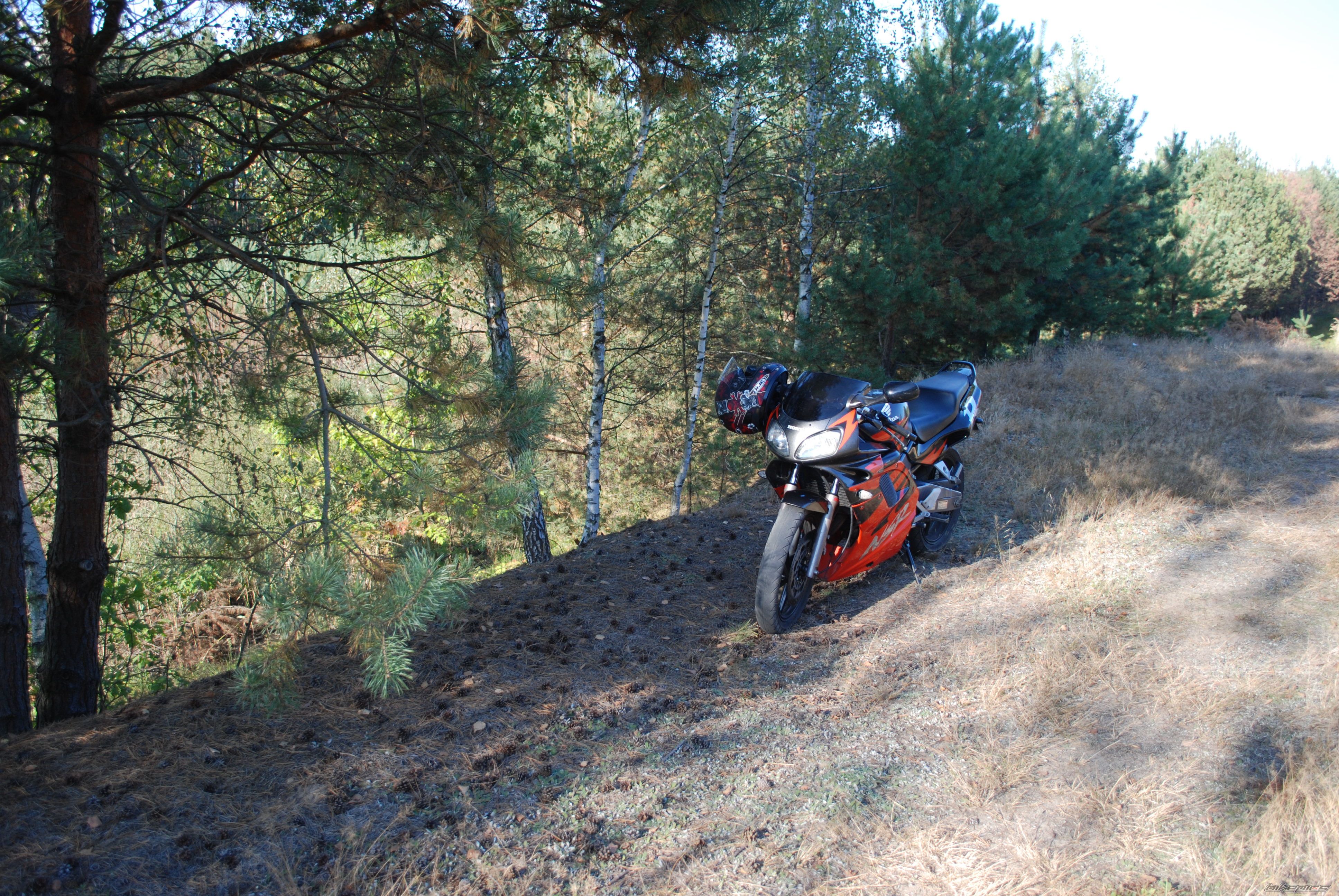 Photo 2508647