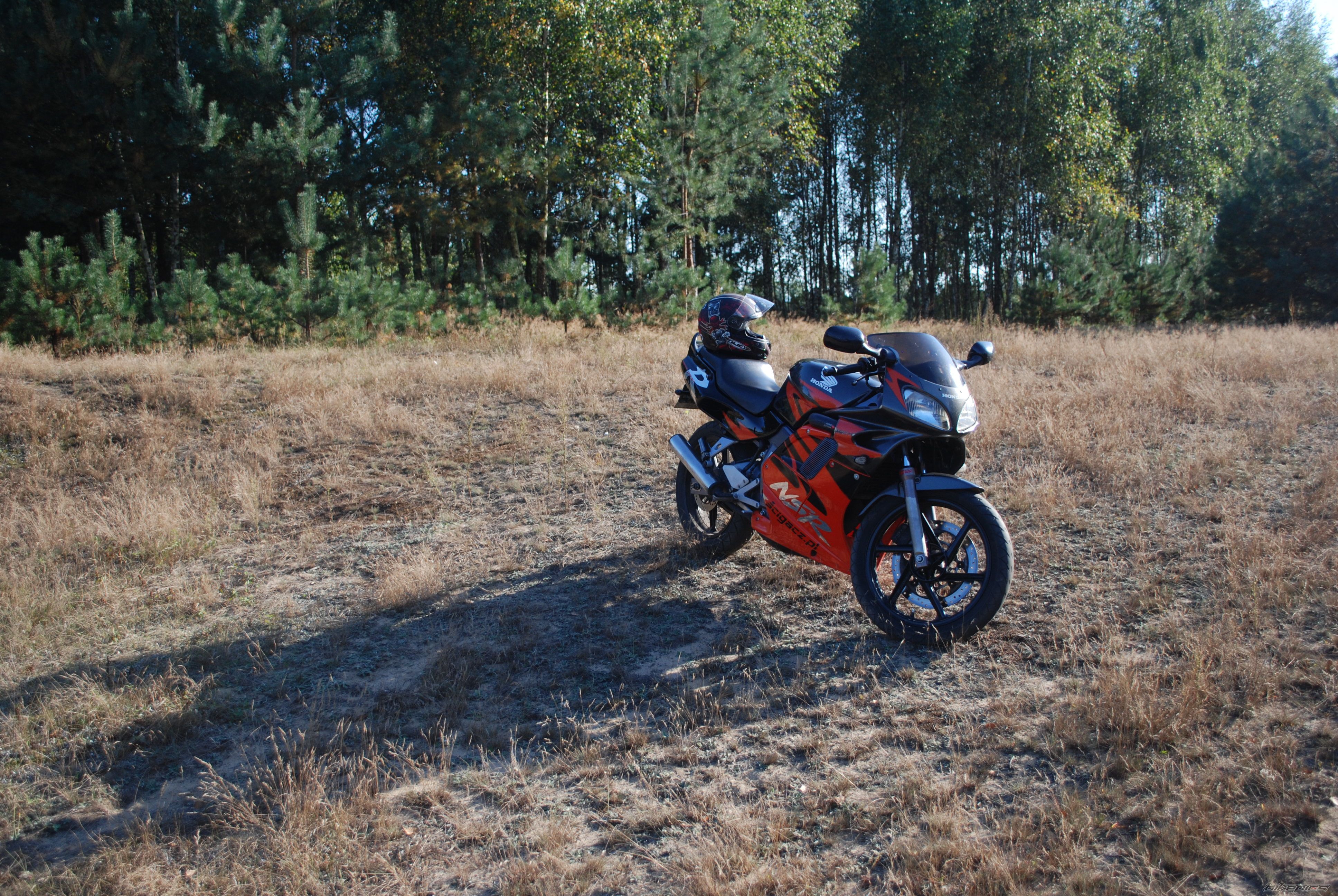 Photo 2508652