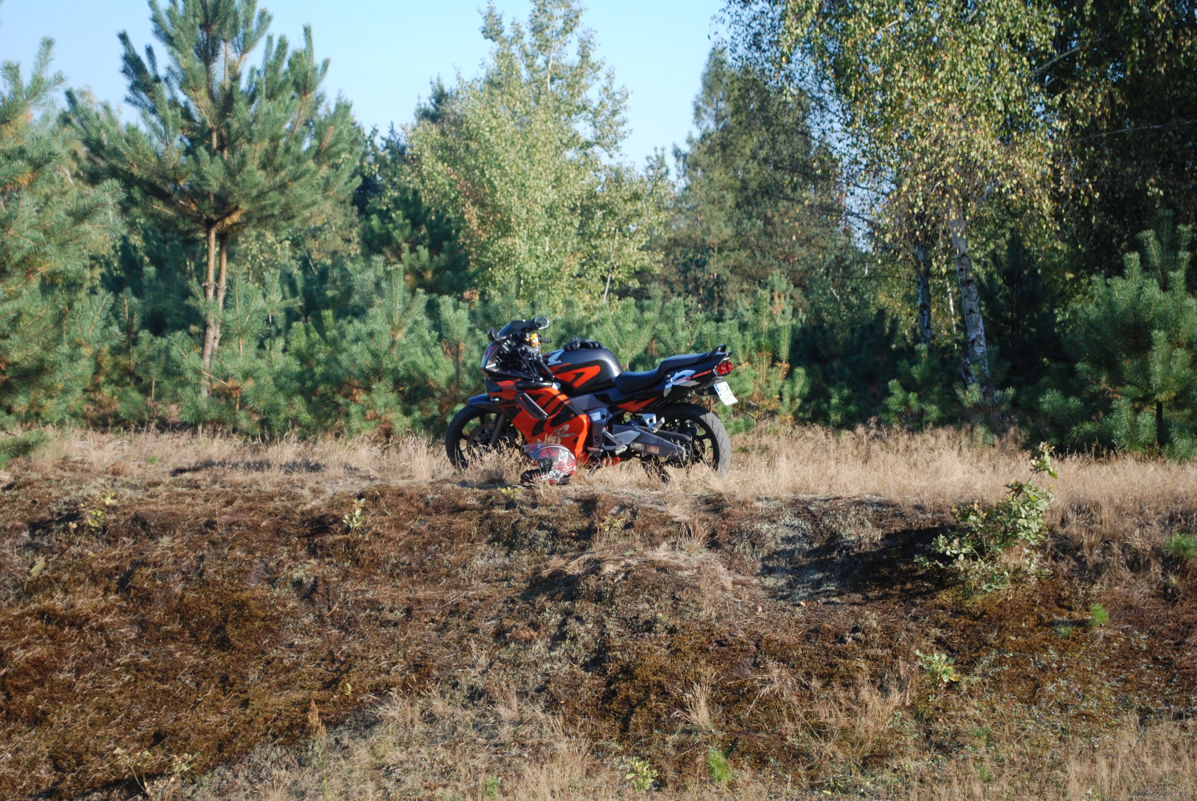 Photo 2508653