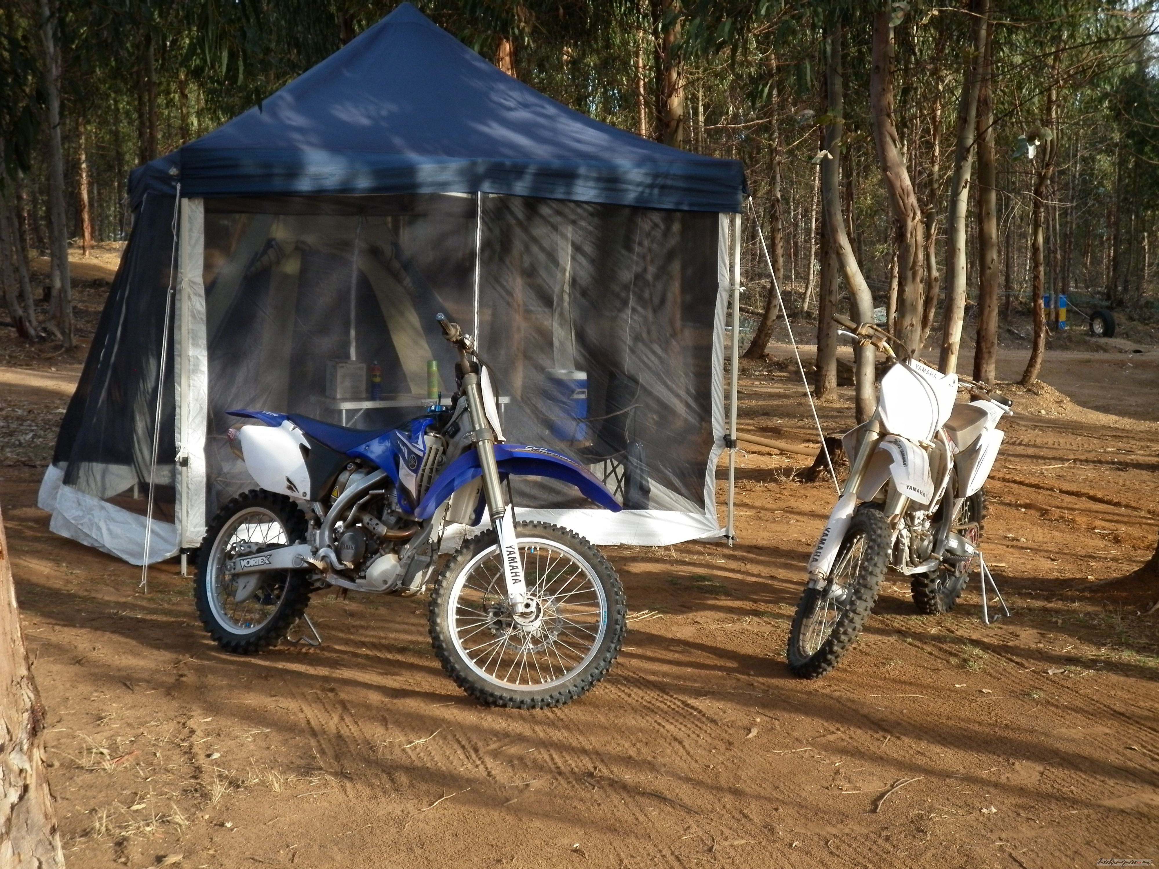 Photo 2508672