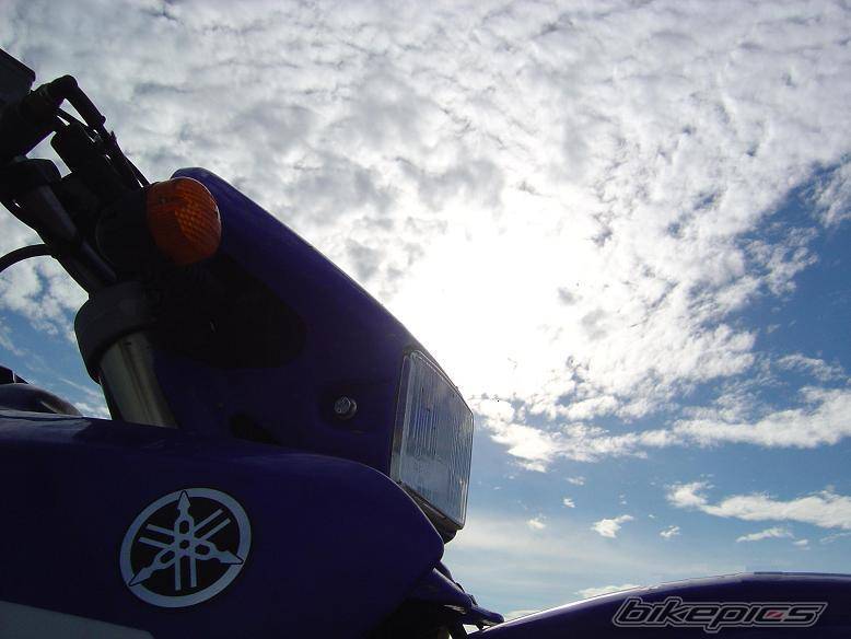 Photo 250885