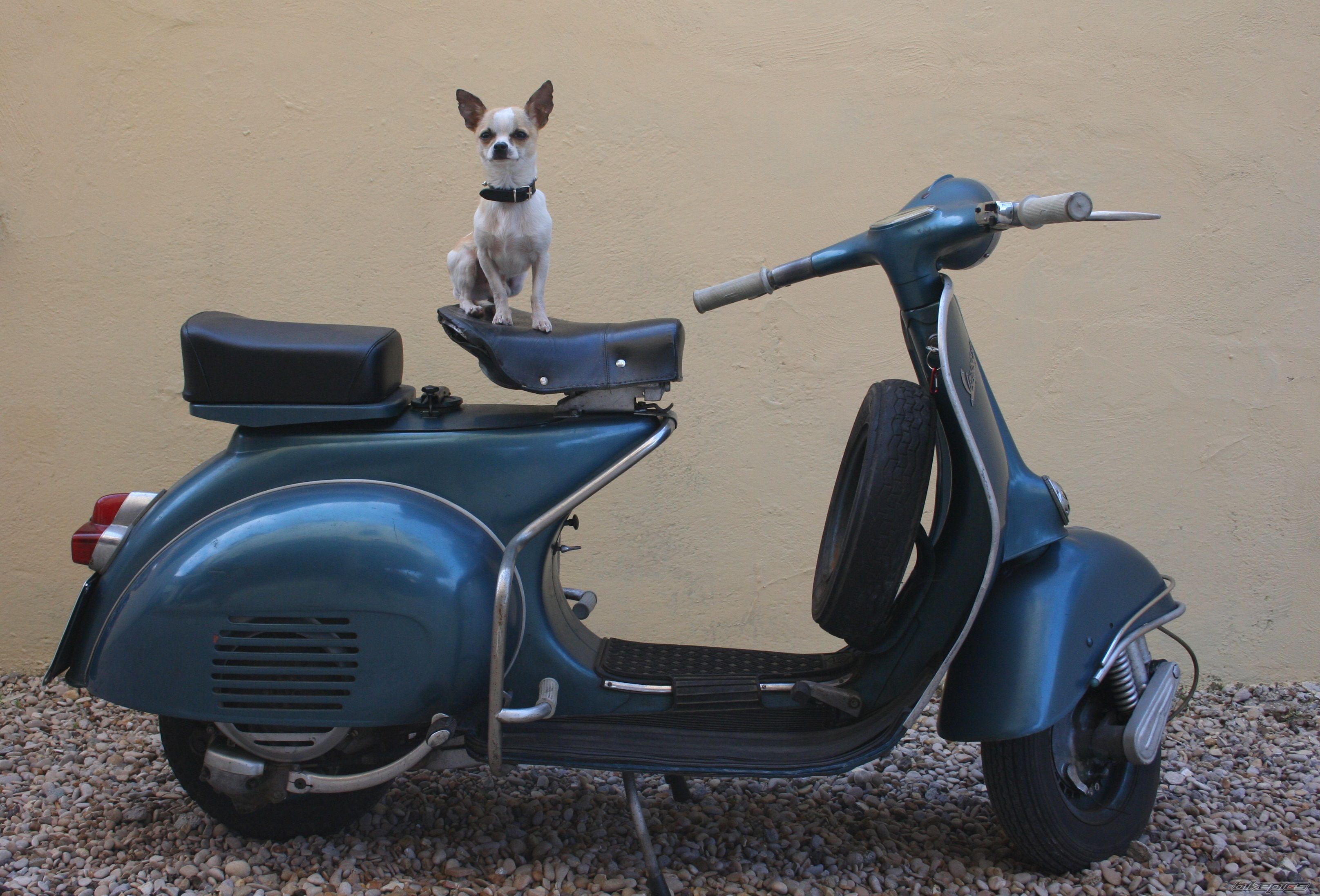 vba1t 150