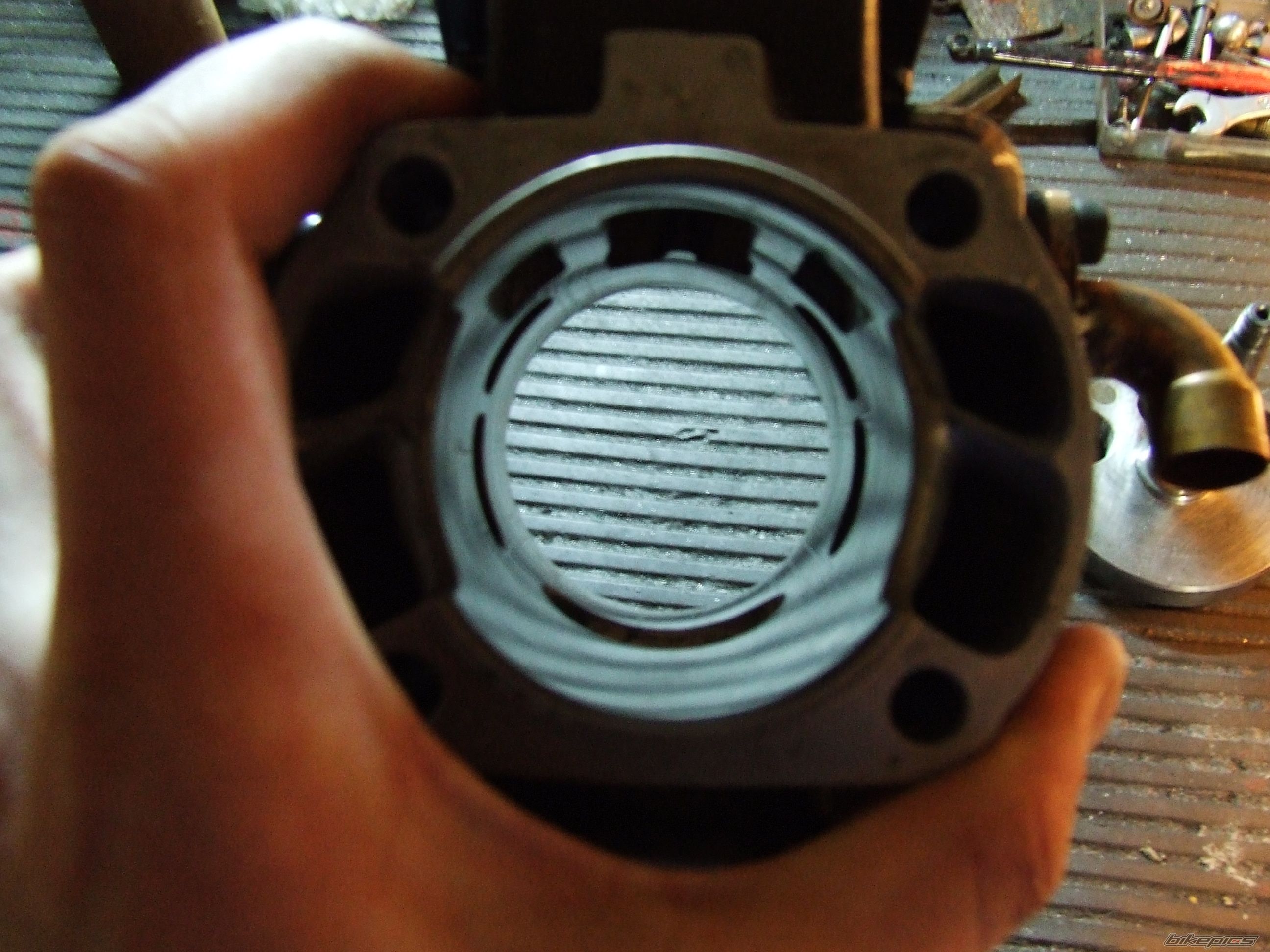 Photo 2508899