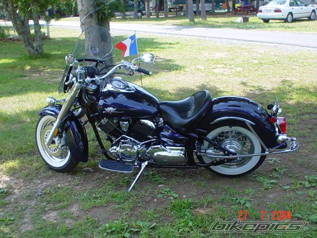 Photo 250909