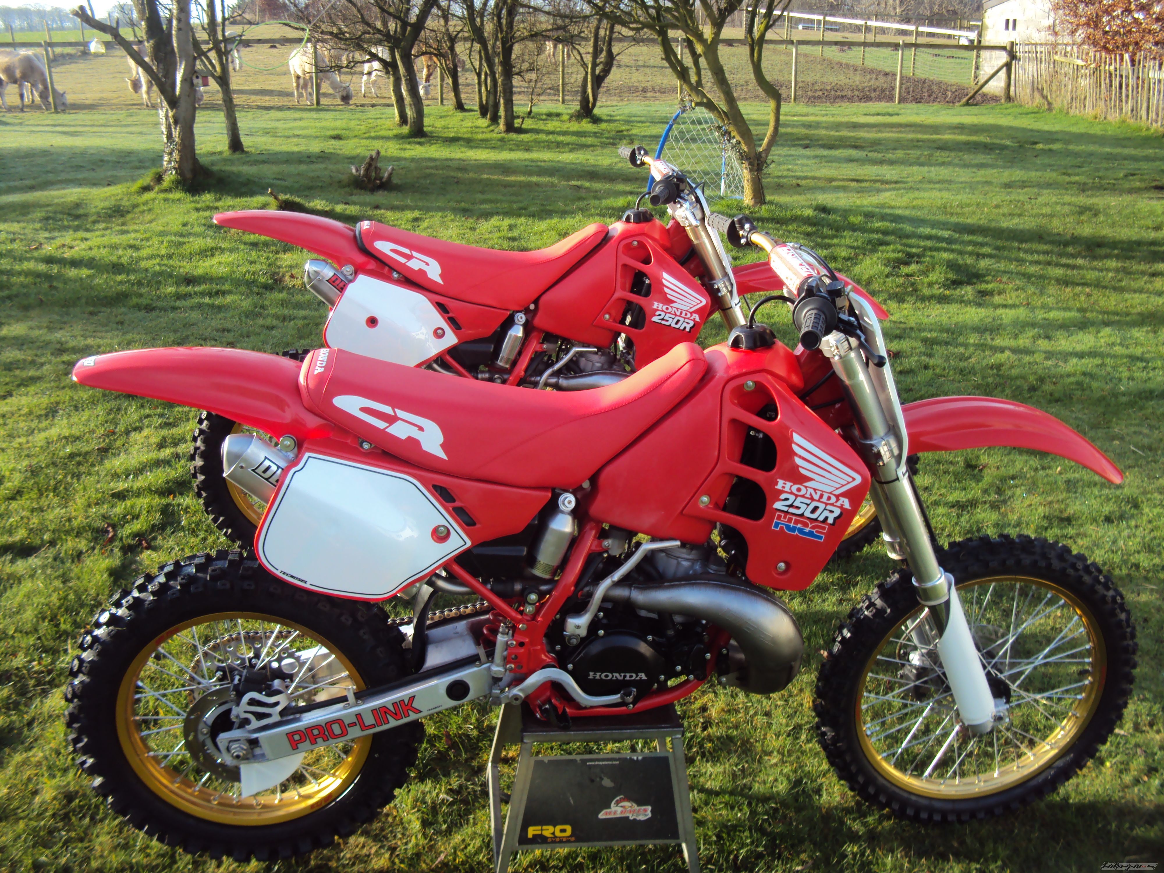 Bike Photo 2509148