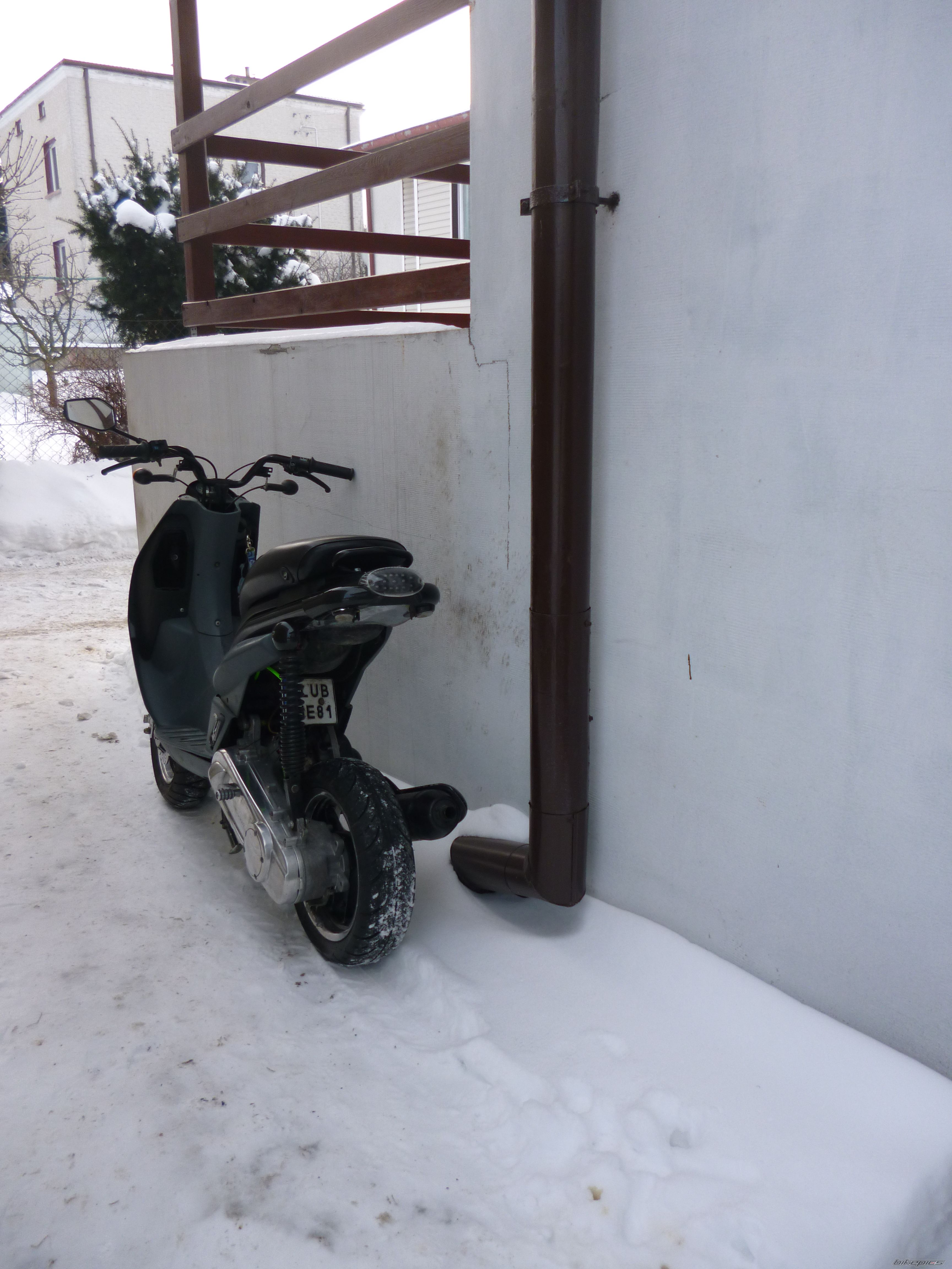 Photo 2509236