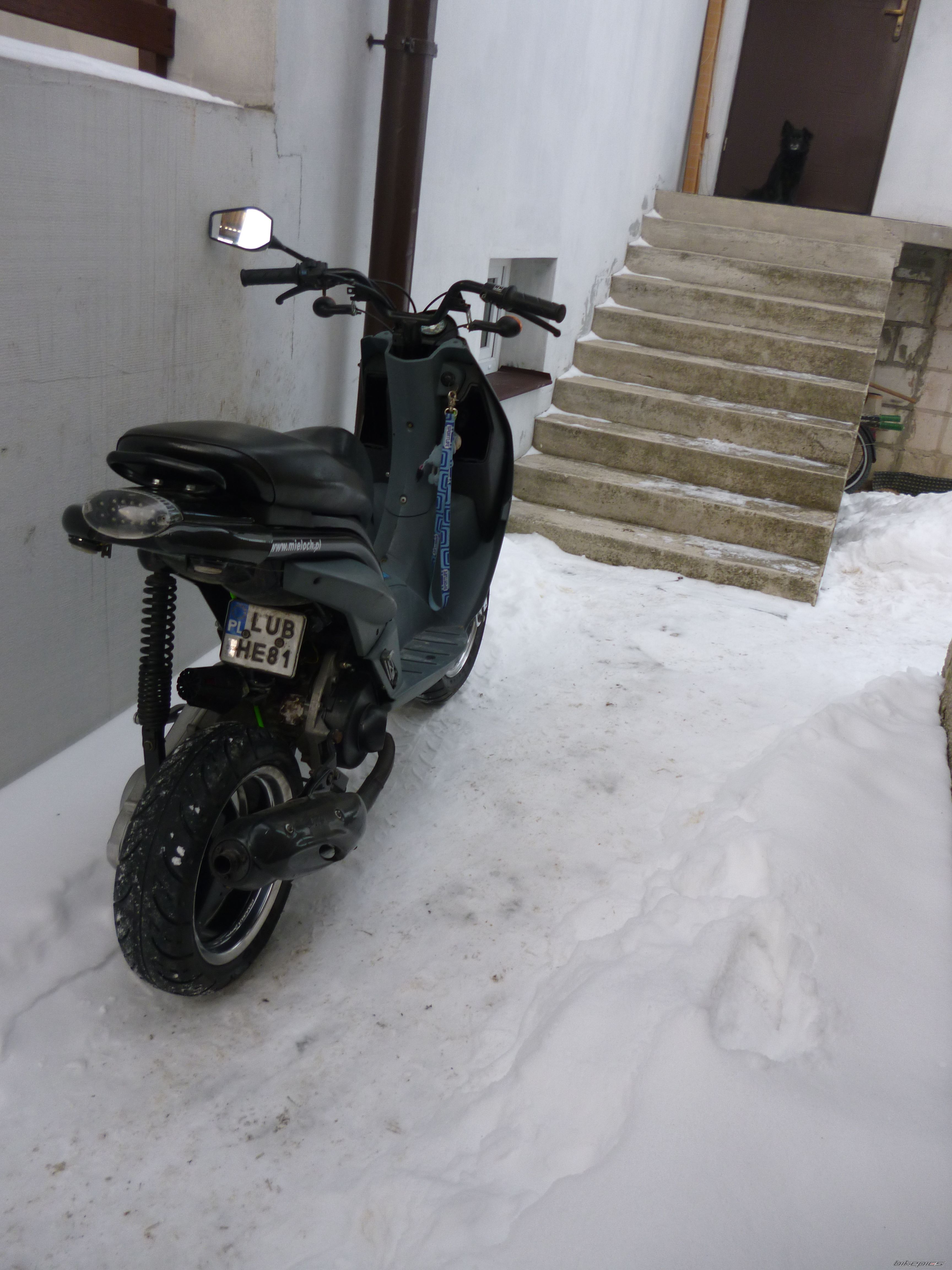 Photo 2509237