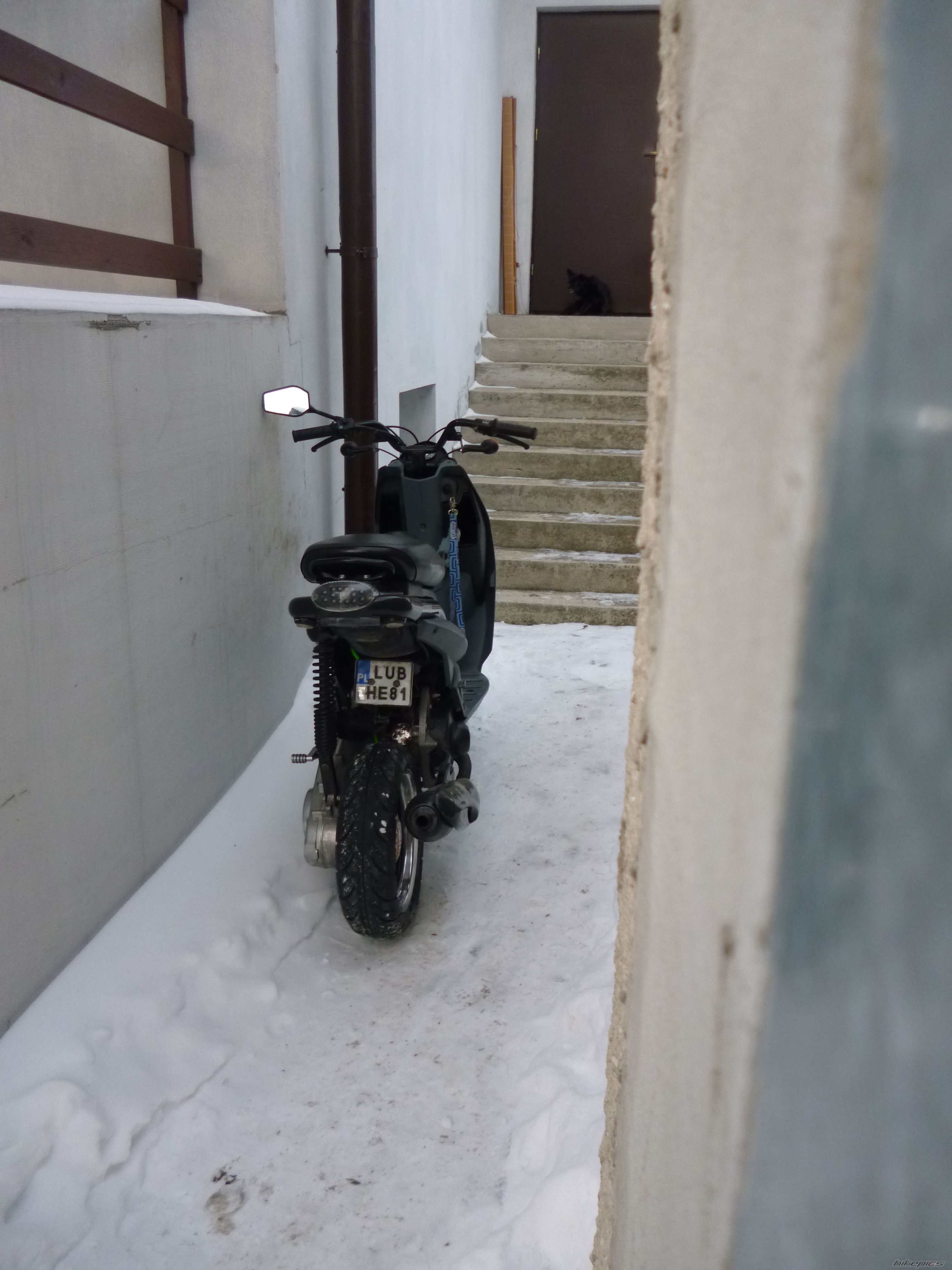 Photo 2509238