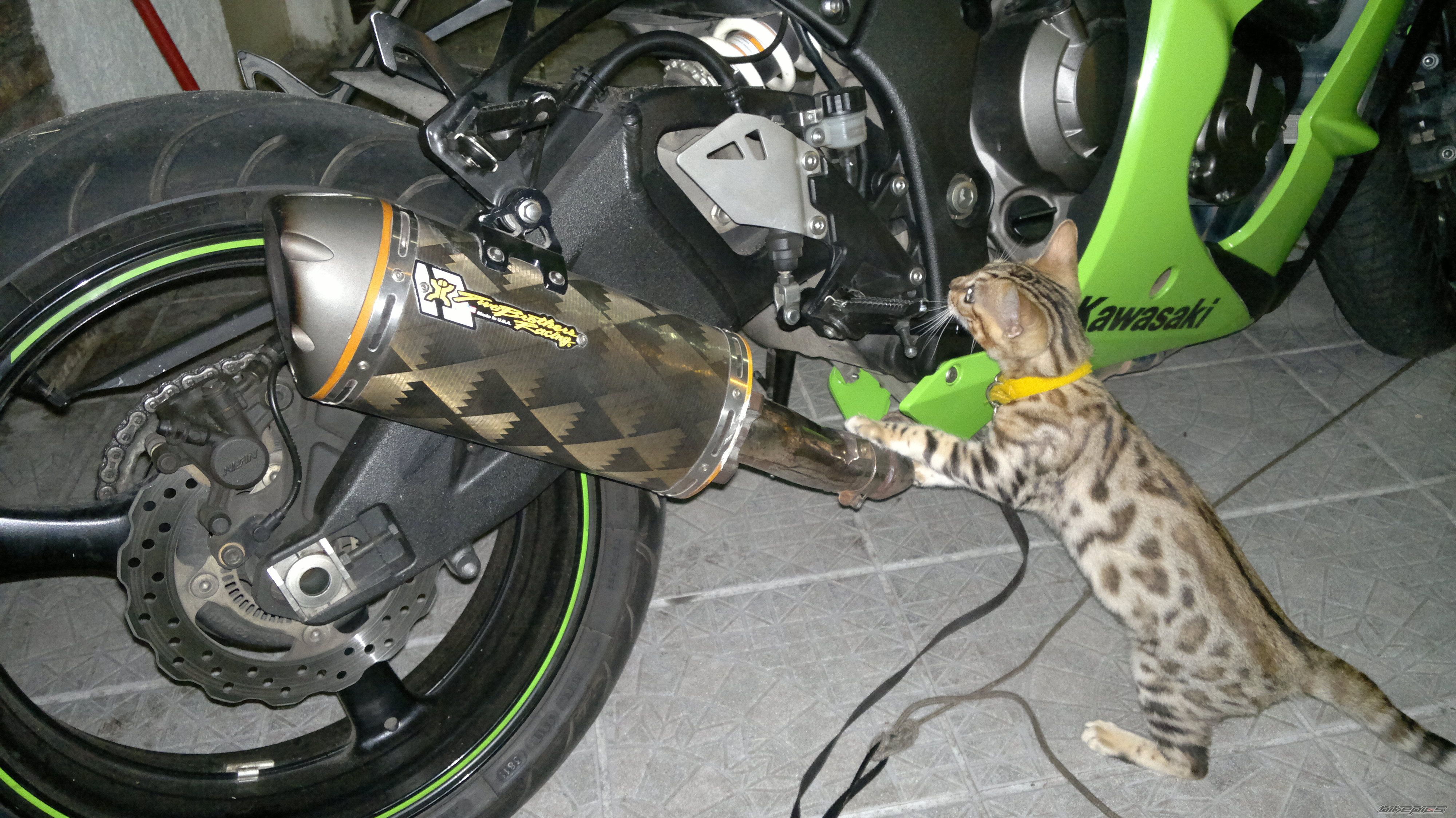 Bike Photo 2509263
