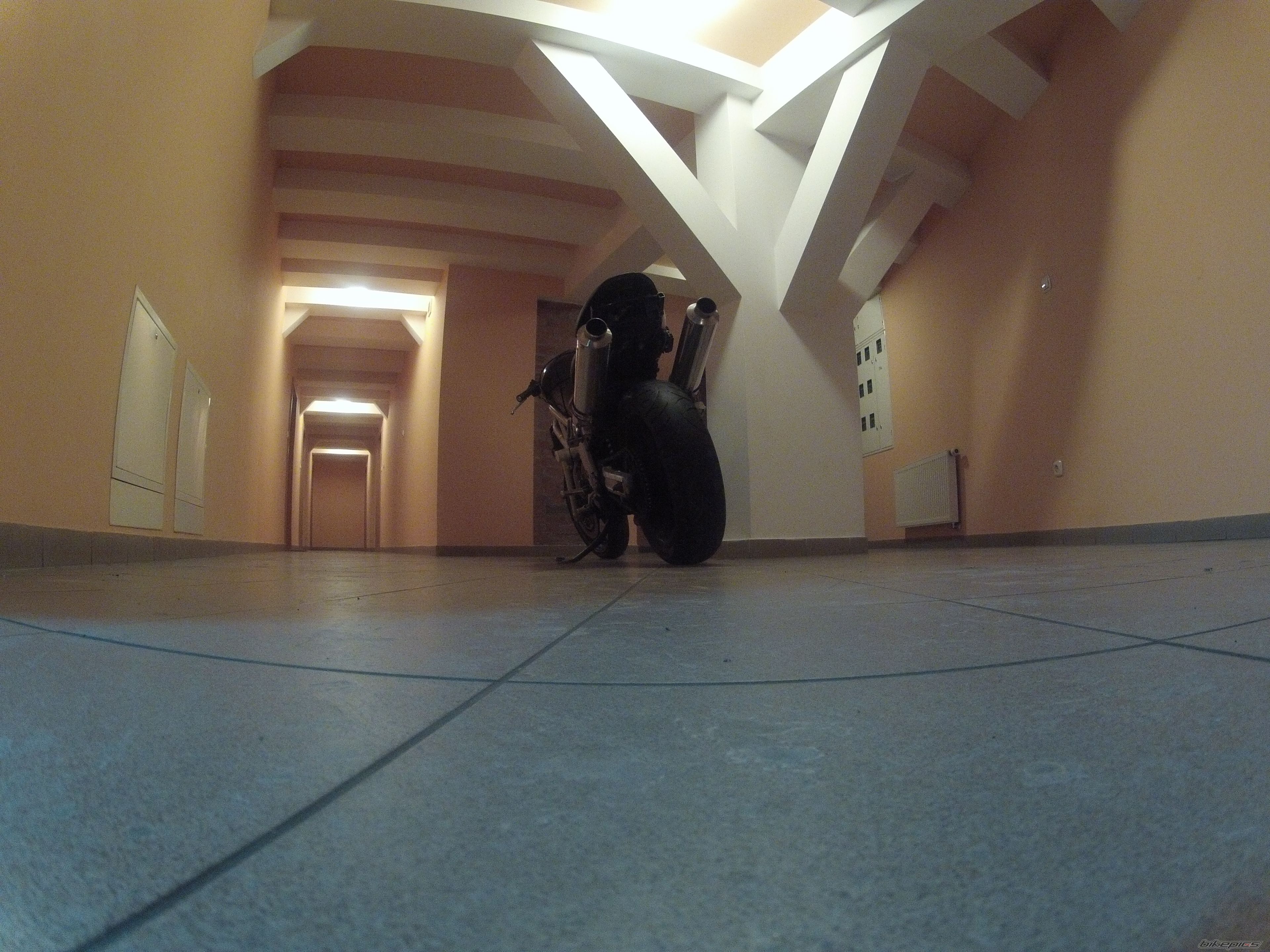 Photo 2509272