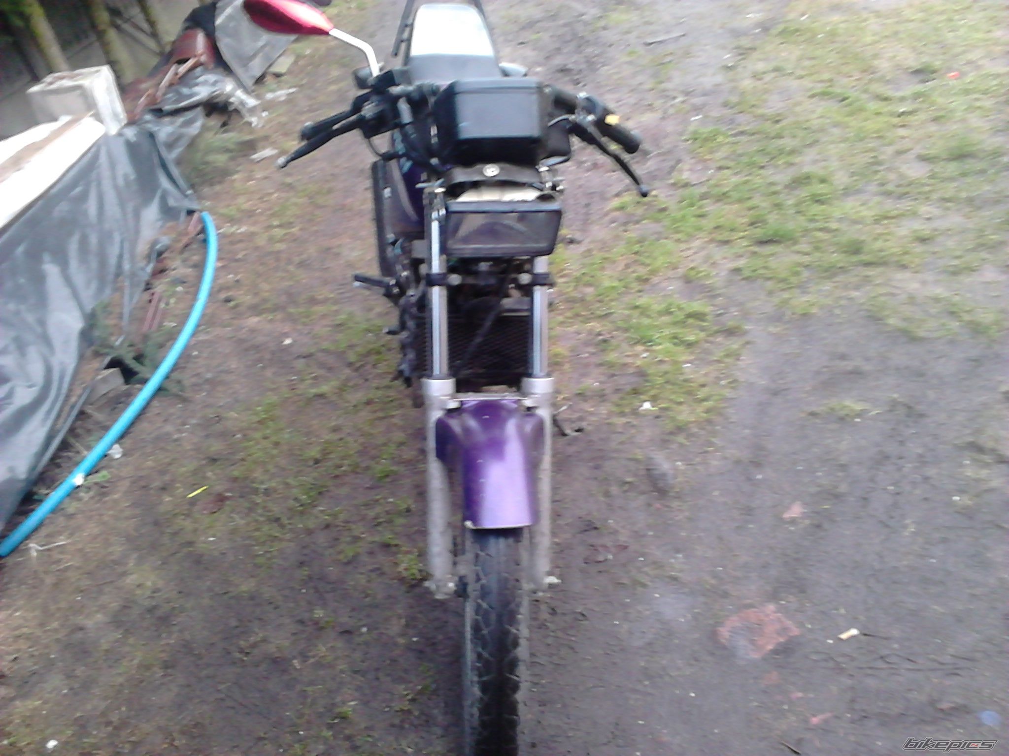 Photo 2509273