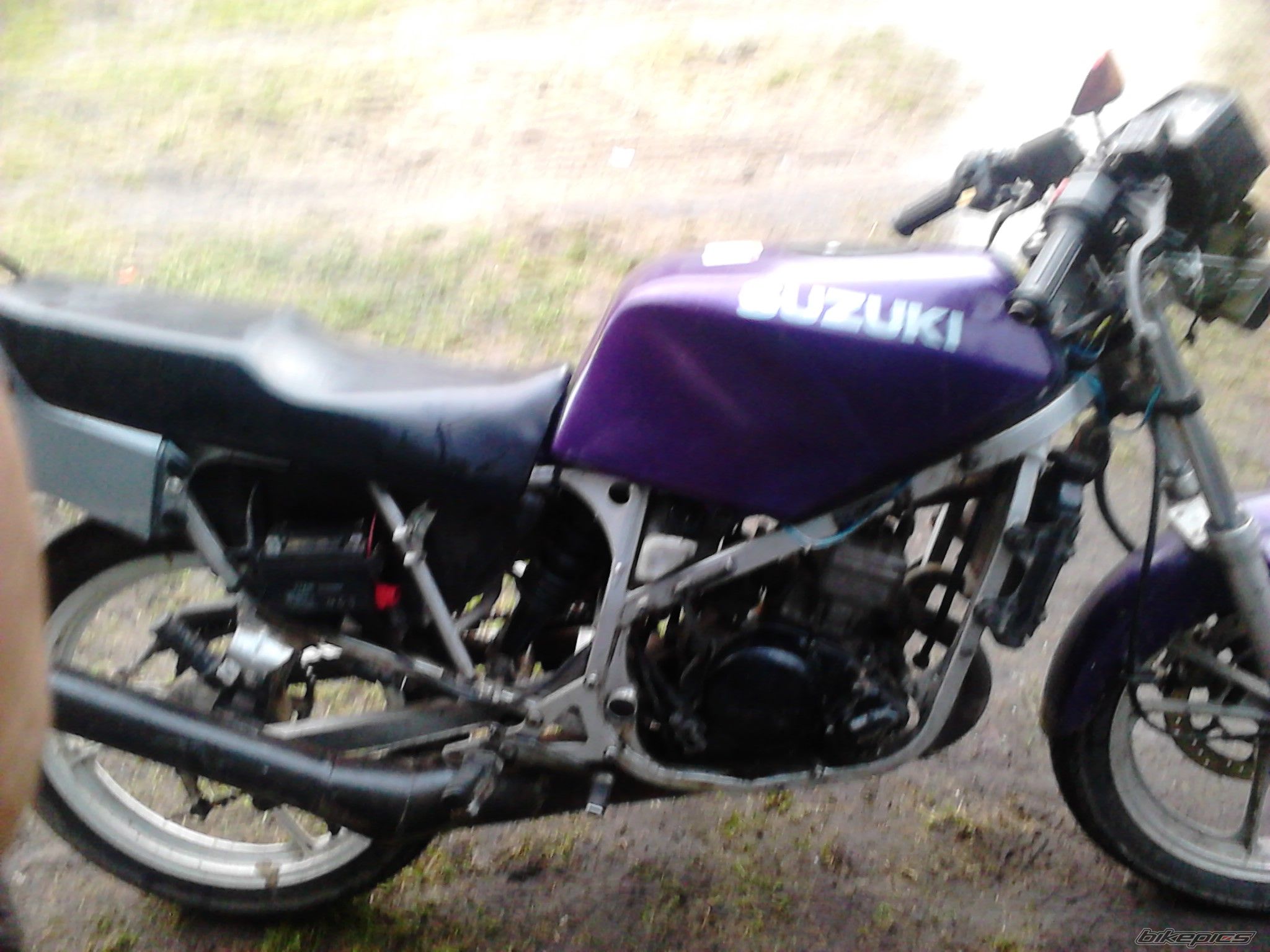 Photo 2509276