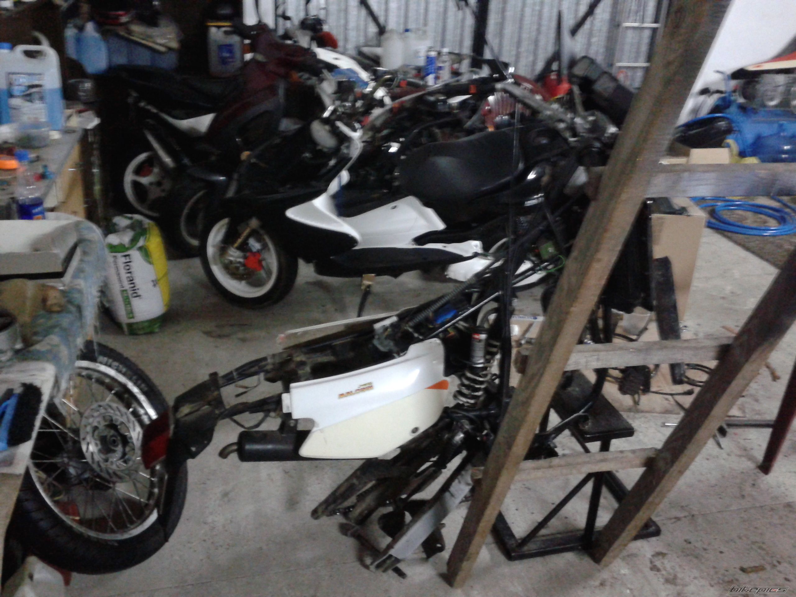 Bike Photo 2509432