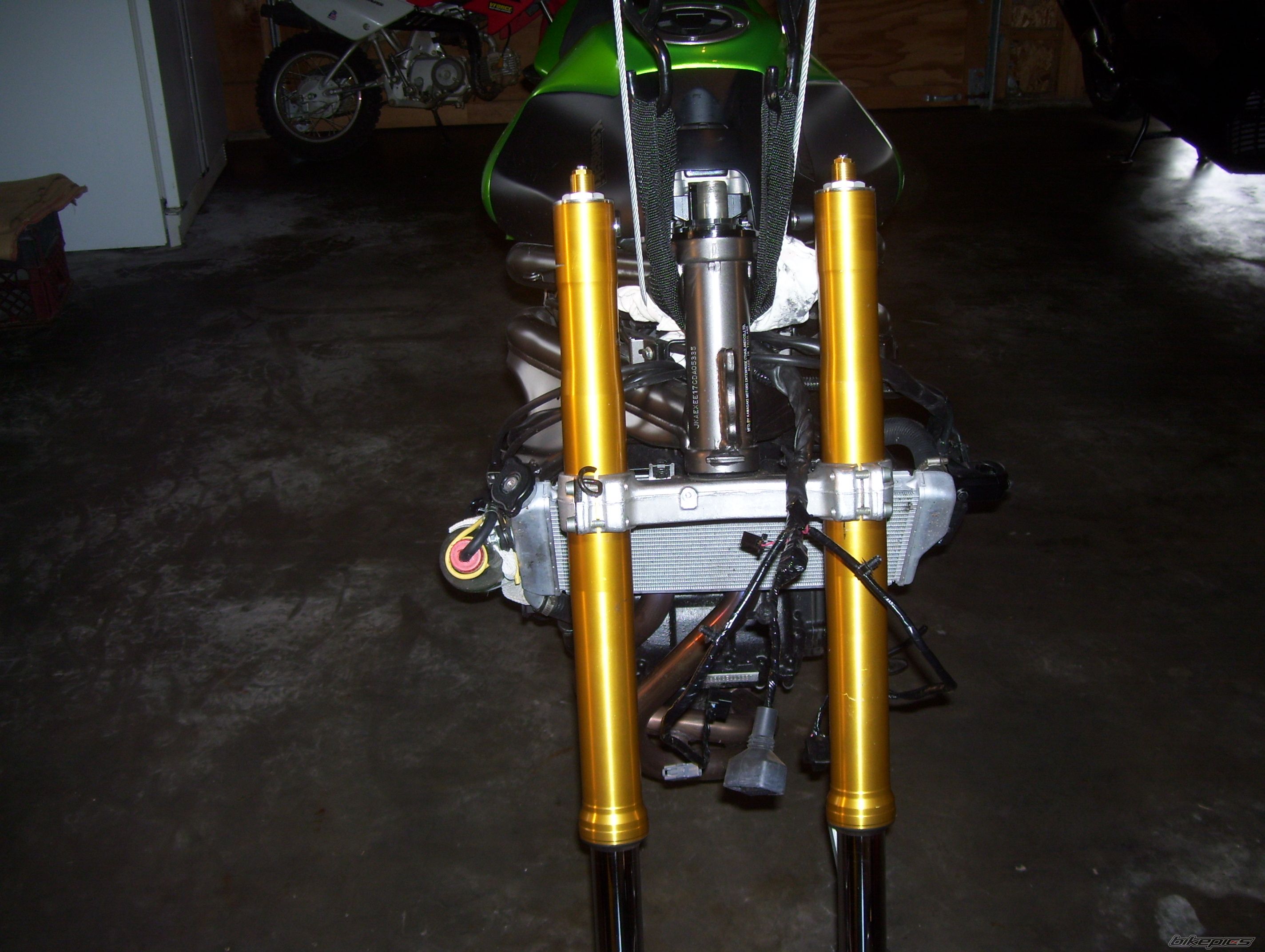 Photo 2509461