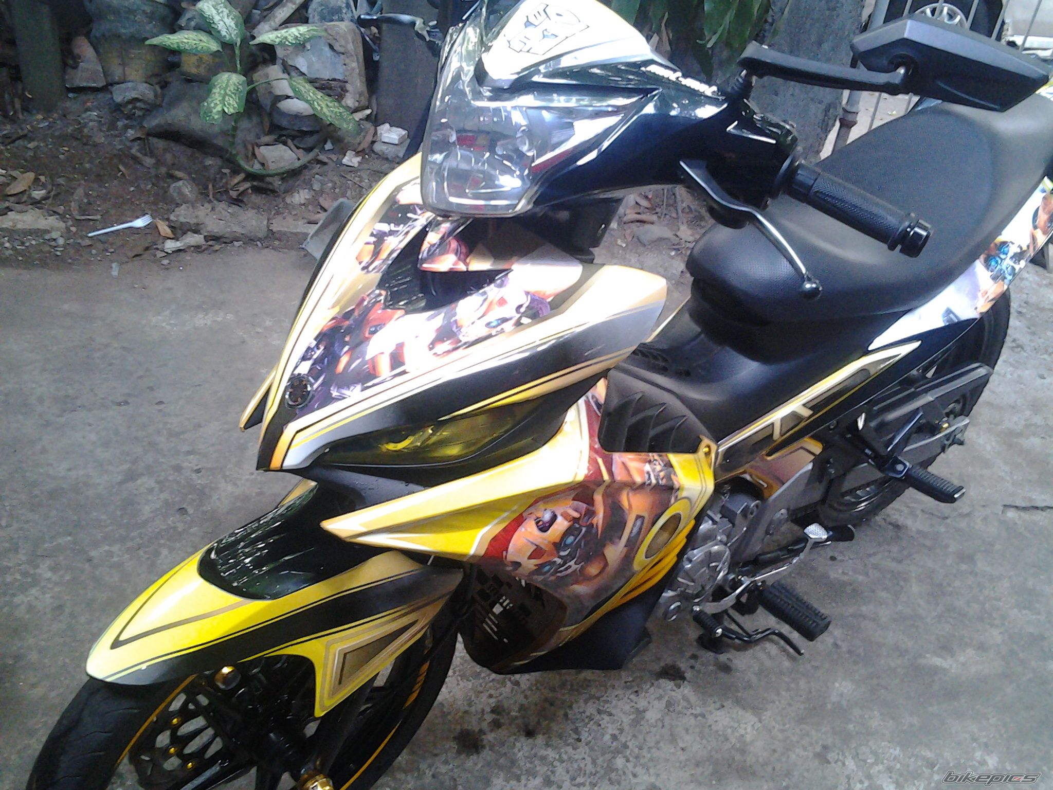 Photo 2509471