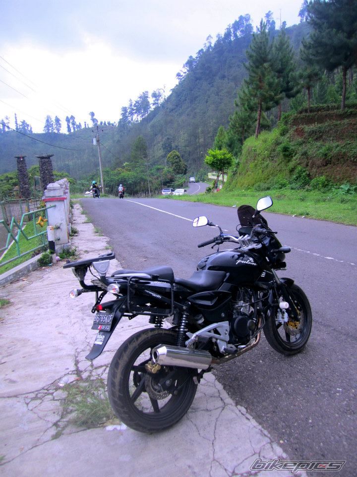 Photo 2509477