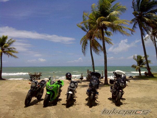 Photo 2509479