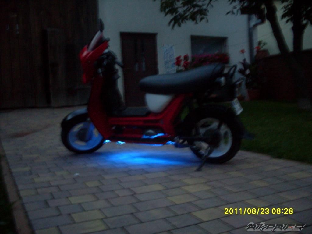 Photo 2509490
