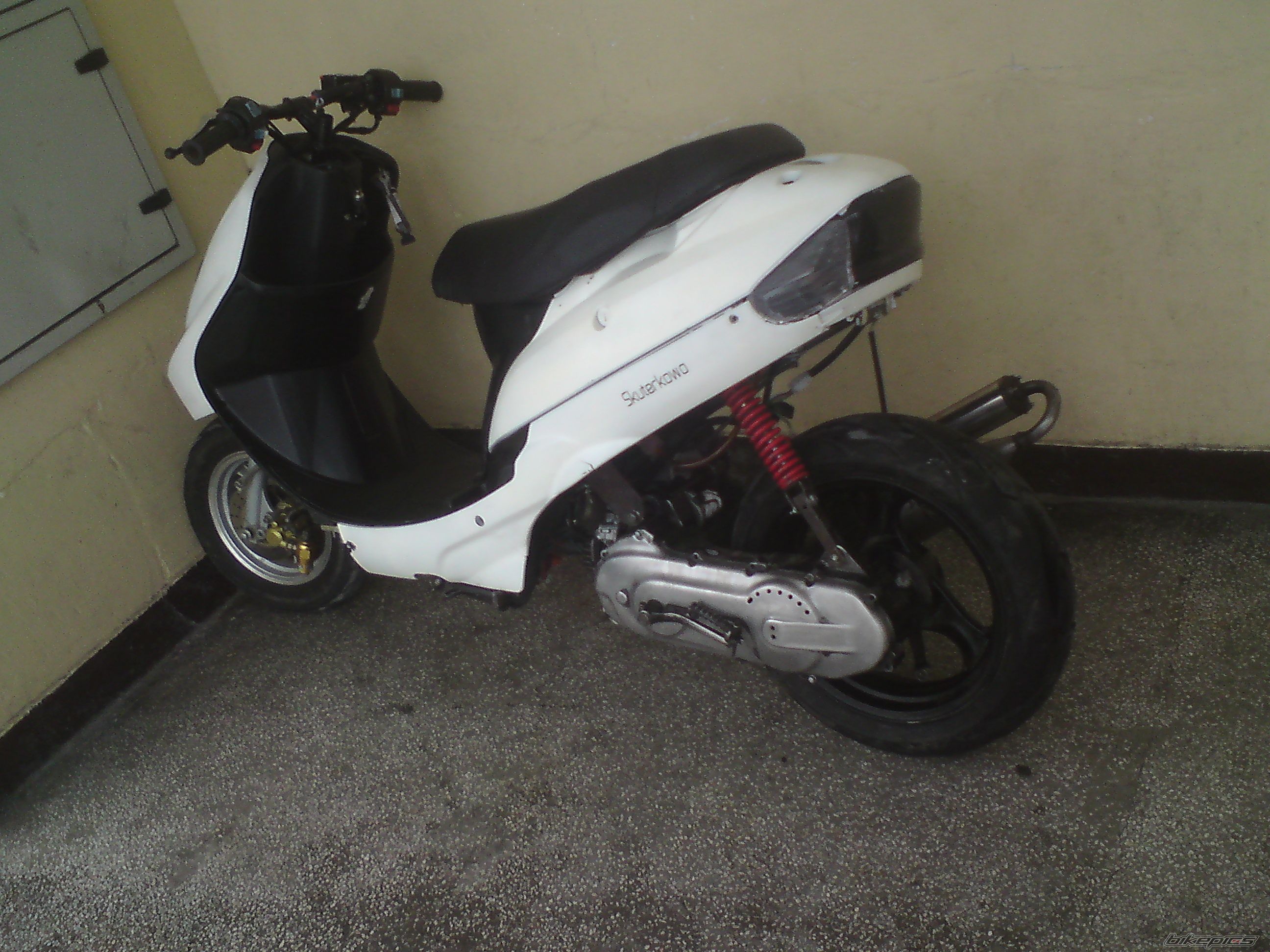 Photo 2509514