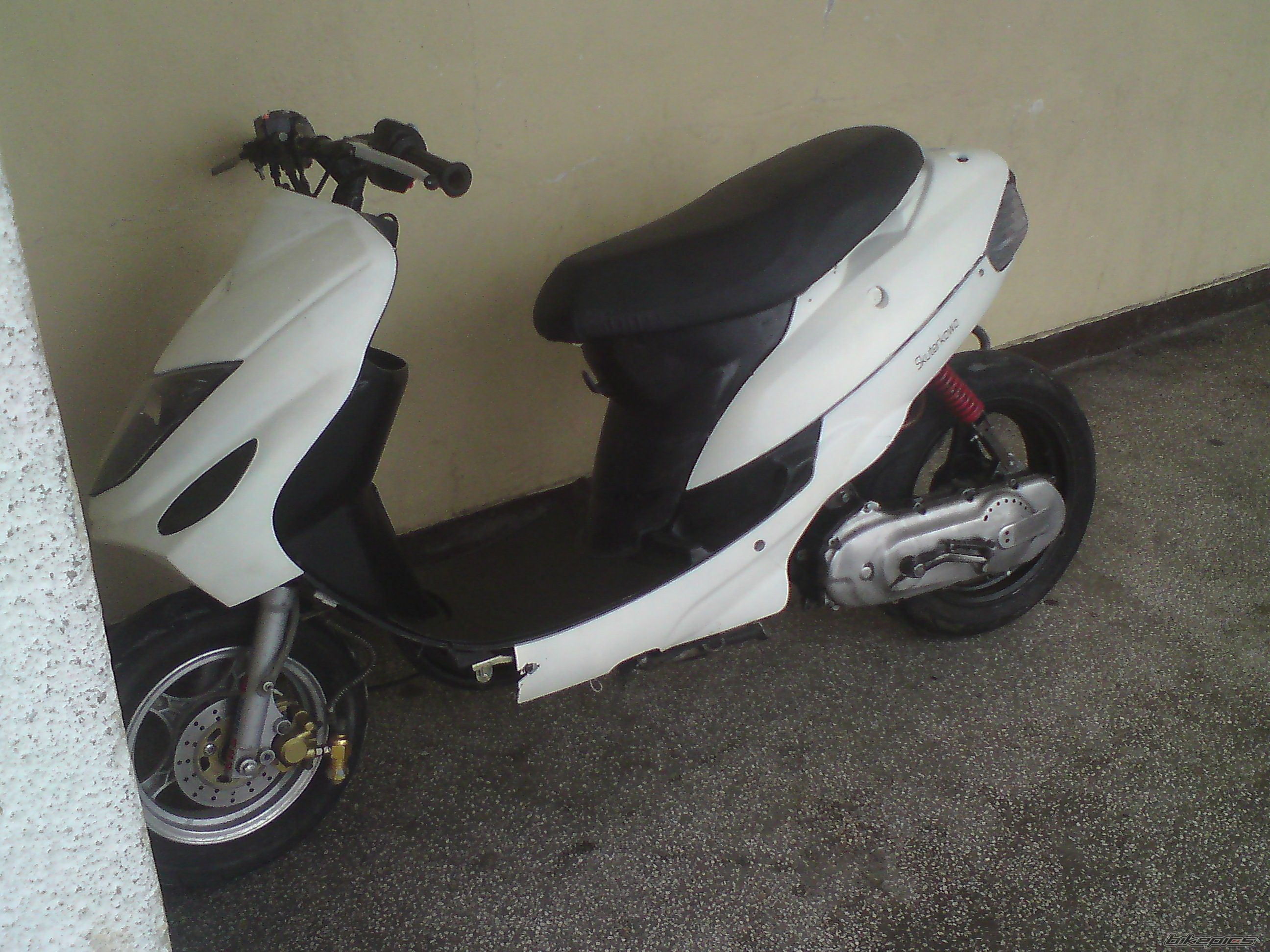 Photo 2509515