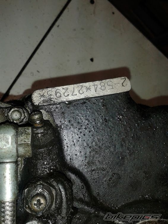 Photo 2509587