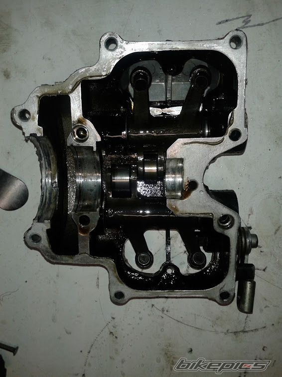 Photo 2509589