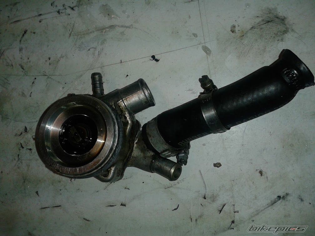 Photo 2509590