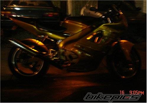 Photo 250972