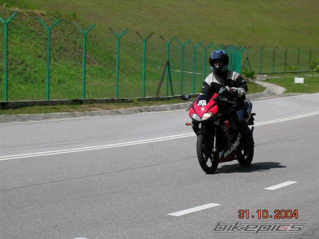 Photo 250979