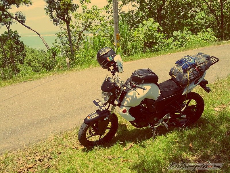 Photo 2509839