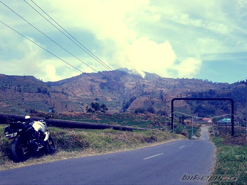 Photo 2509843