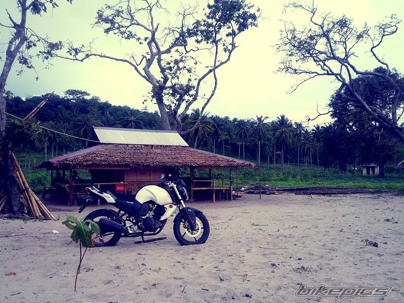 Photo 2509844