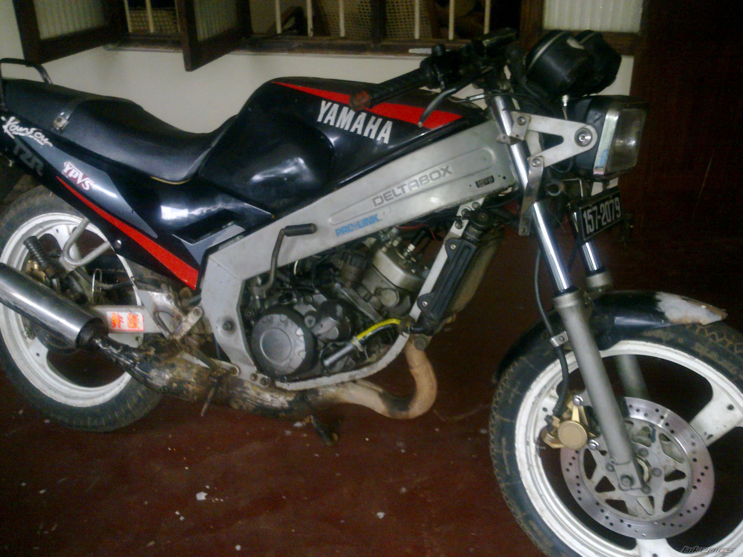 Photo 2509848