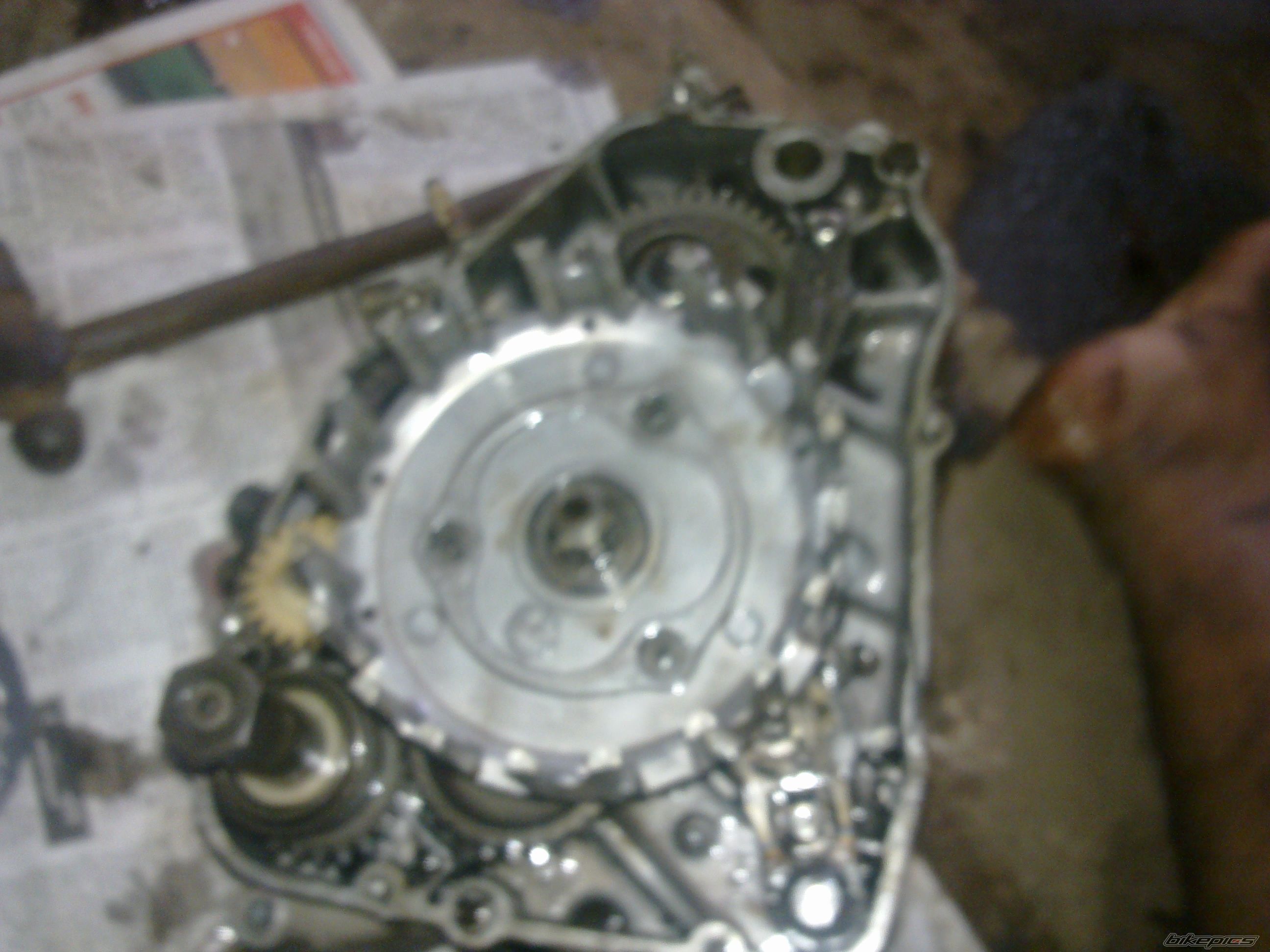 Photo 2509849