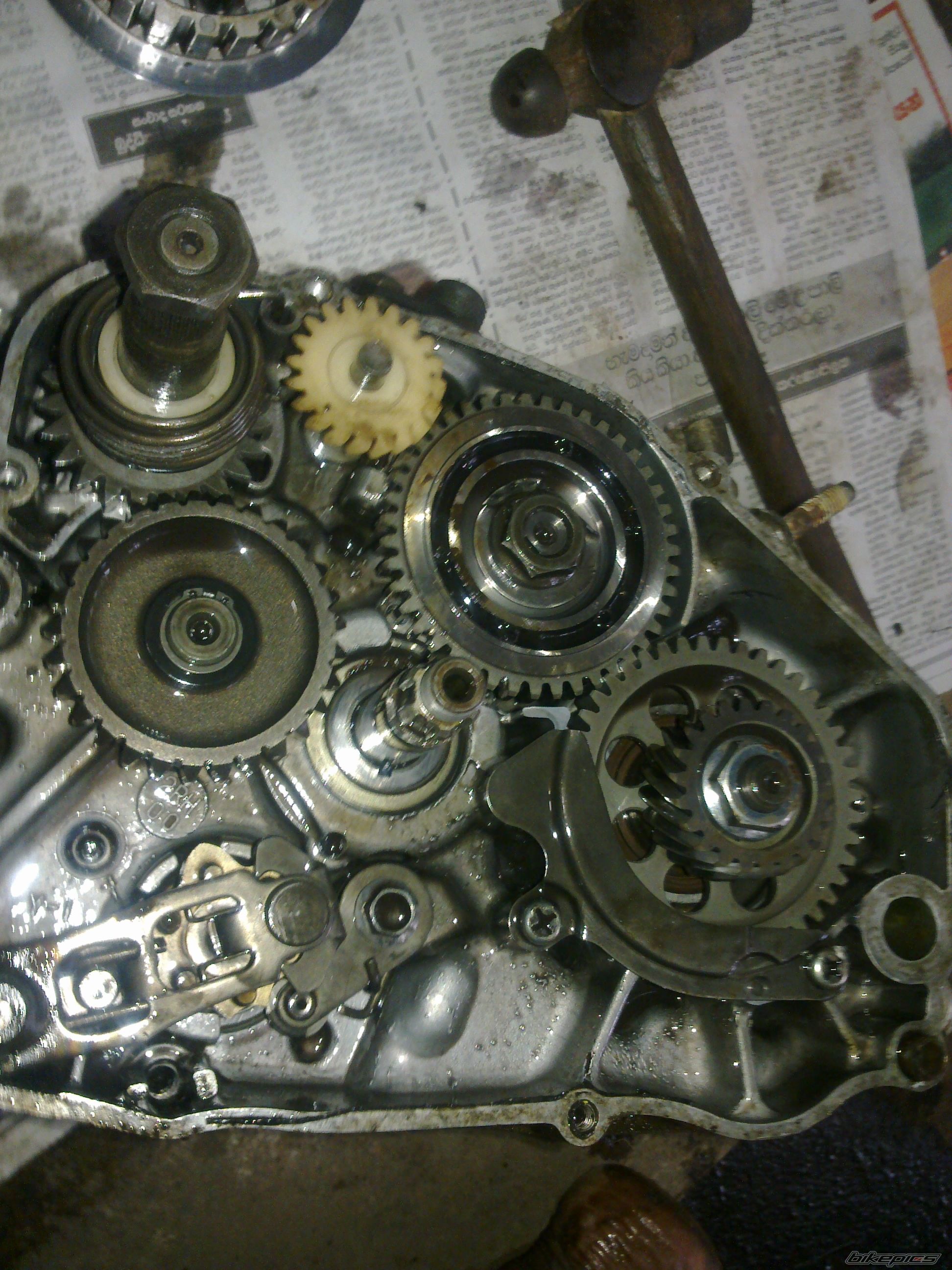Photo 2509850