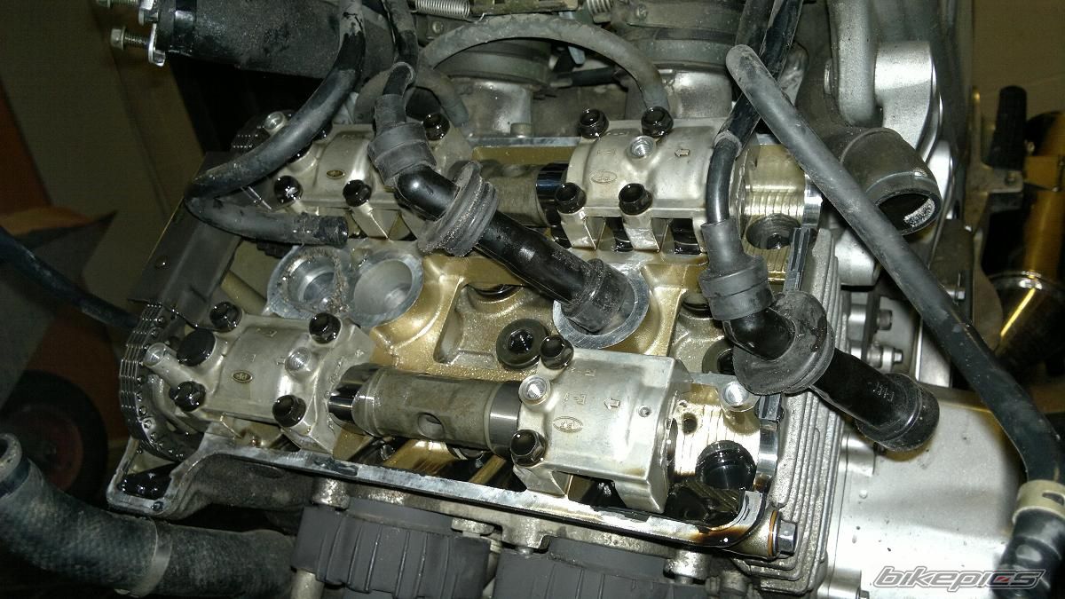 Photo 2509872