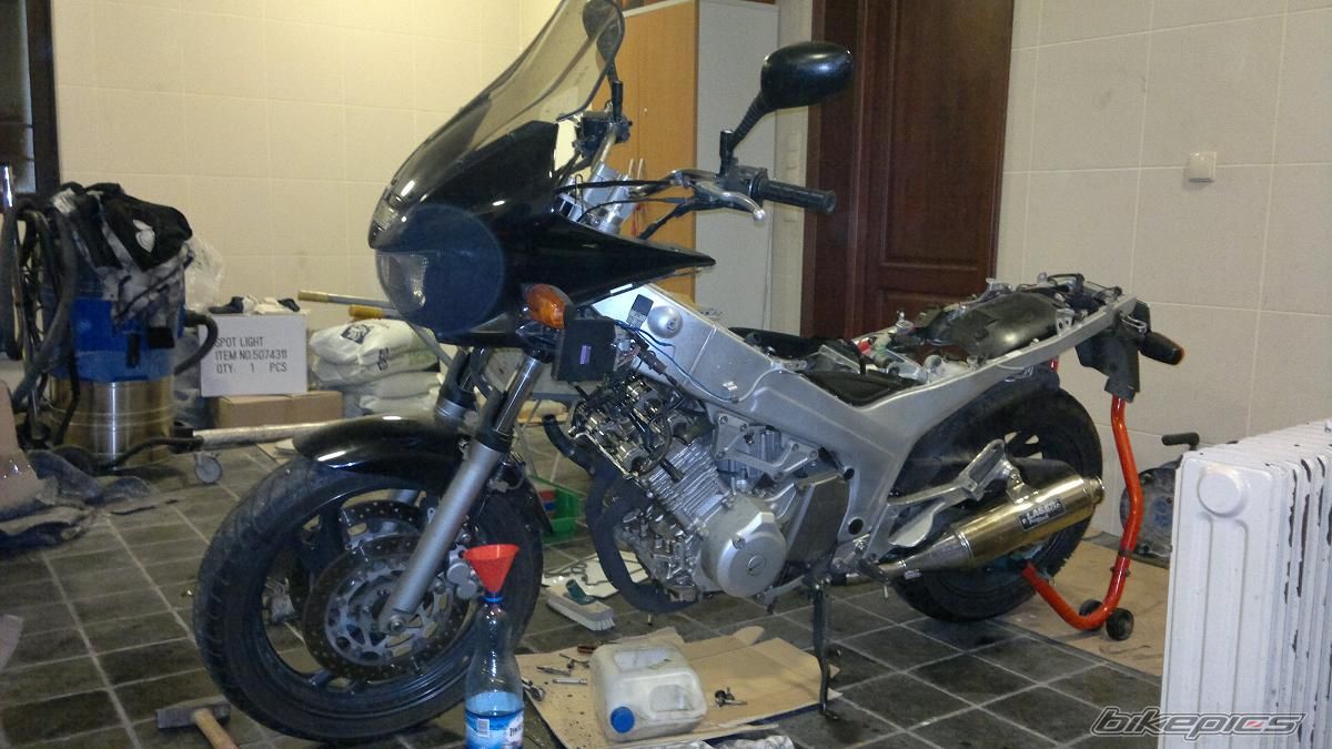 Photo 2509873
