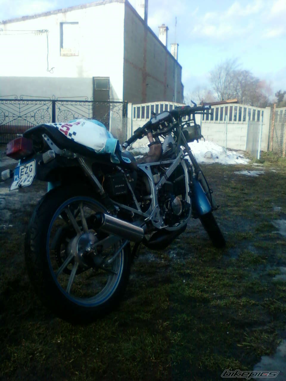 Photo 2509893